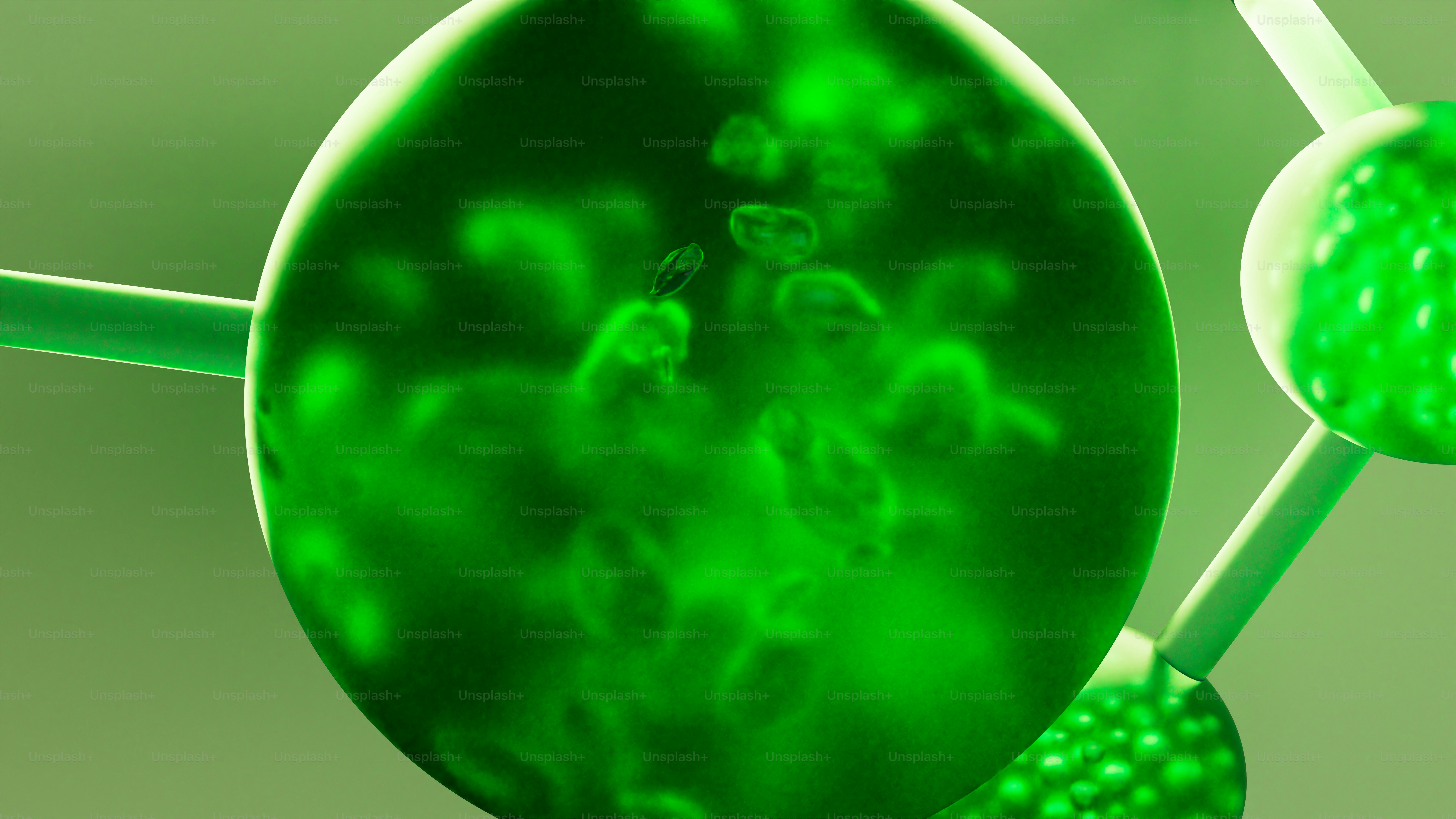 Esferas verdes abstractas con estructuras celulares internas
