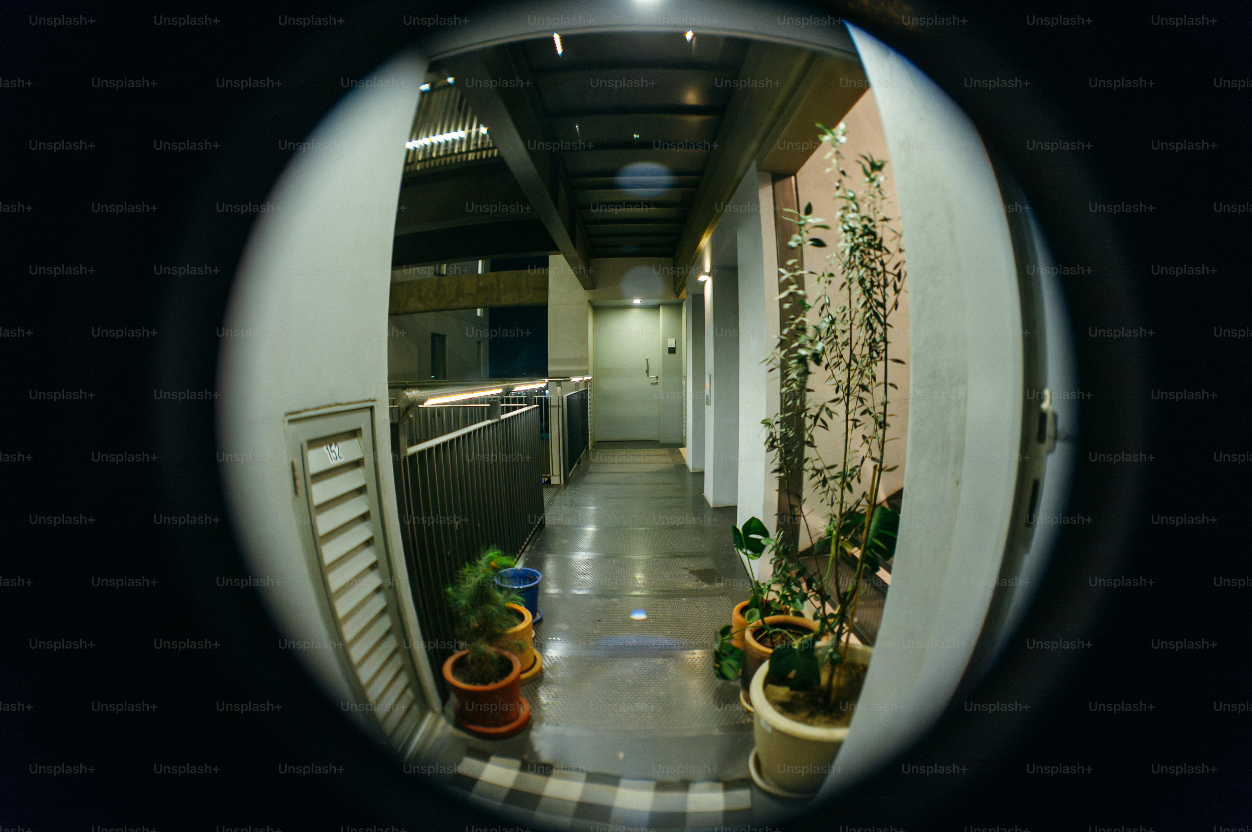 Hallway with potted plants and tiled floor