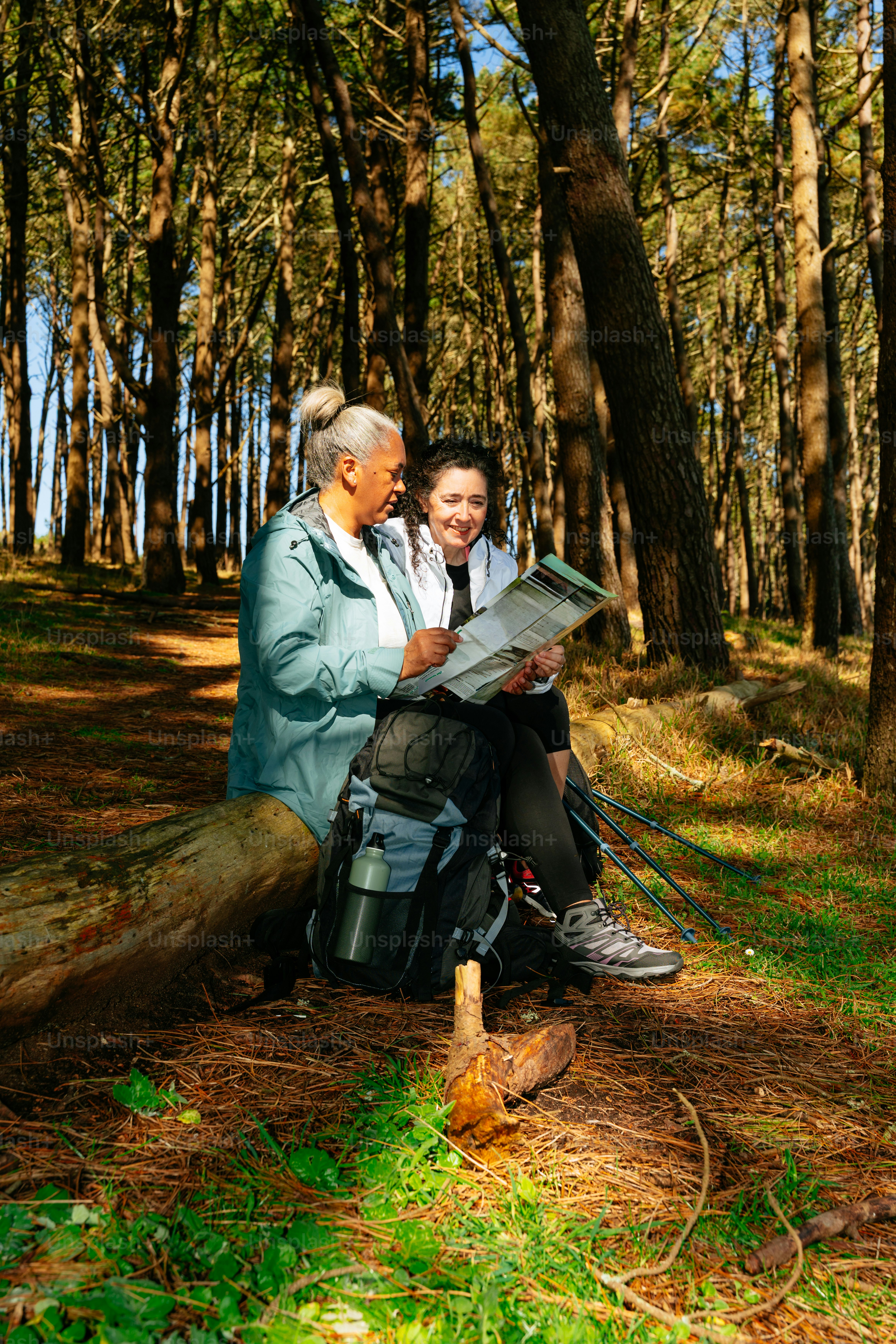 Two women laughing while hiking in a forest. photo – Forest Image on ...
