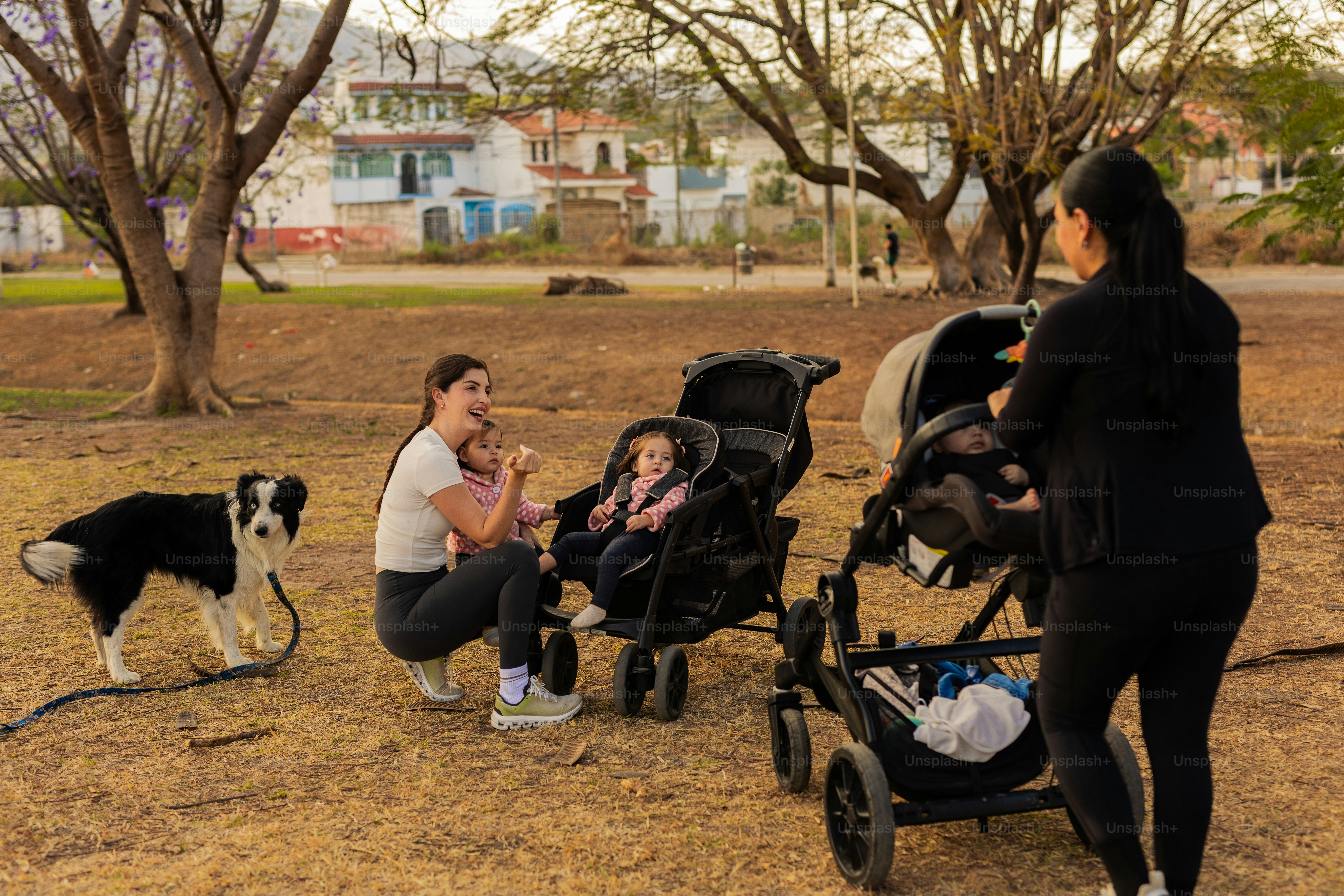 Dua wanita dengan kereta bayi dan seekor anjing di taman