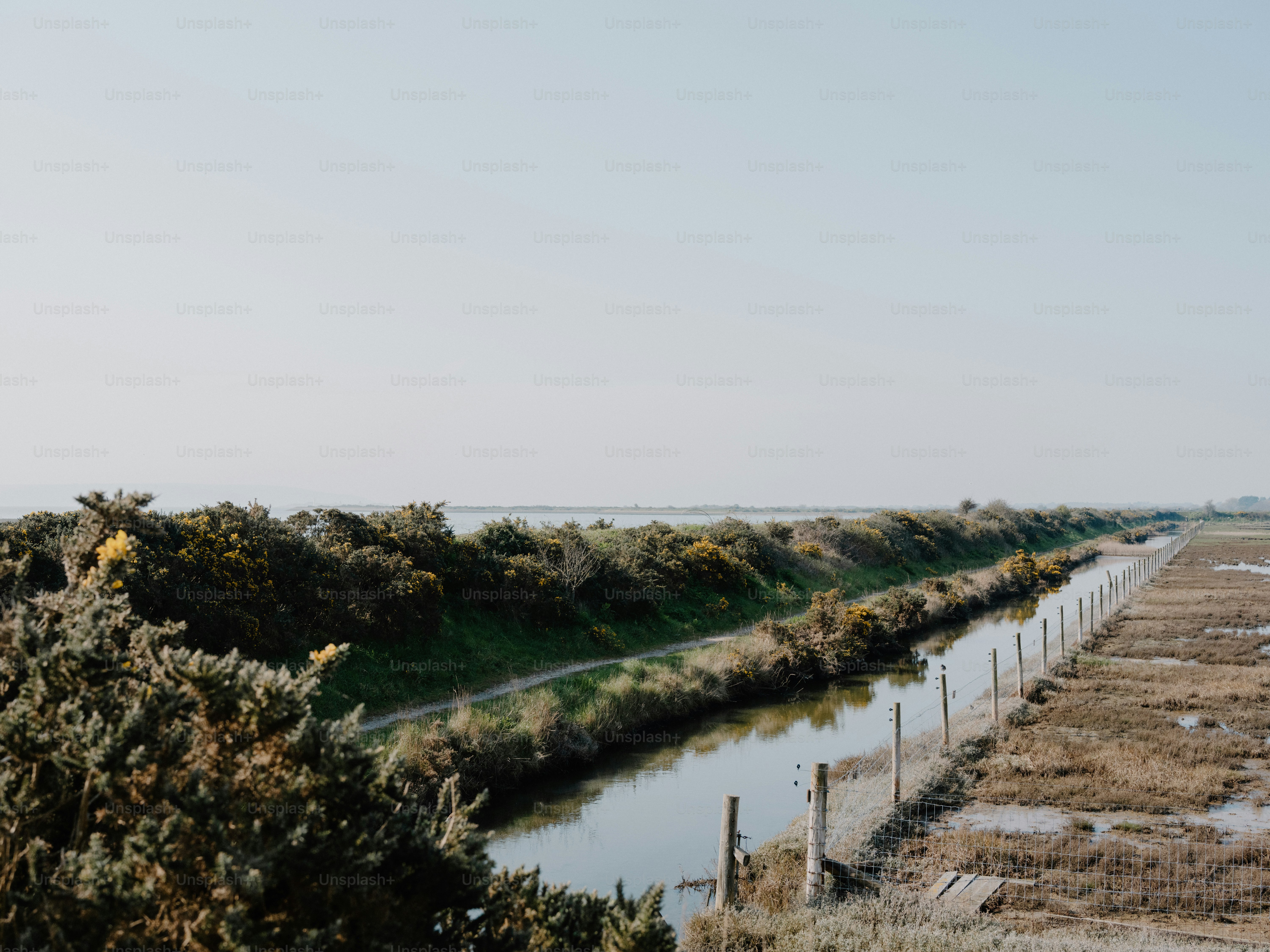 A straight canal runs through a landscape with bushes.