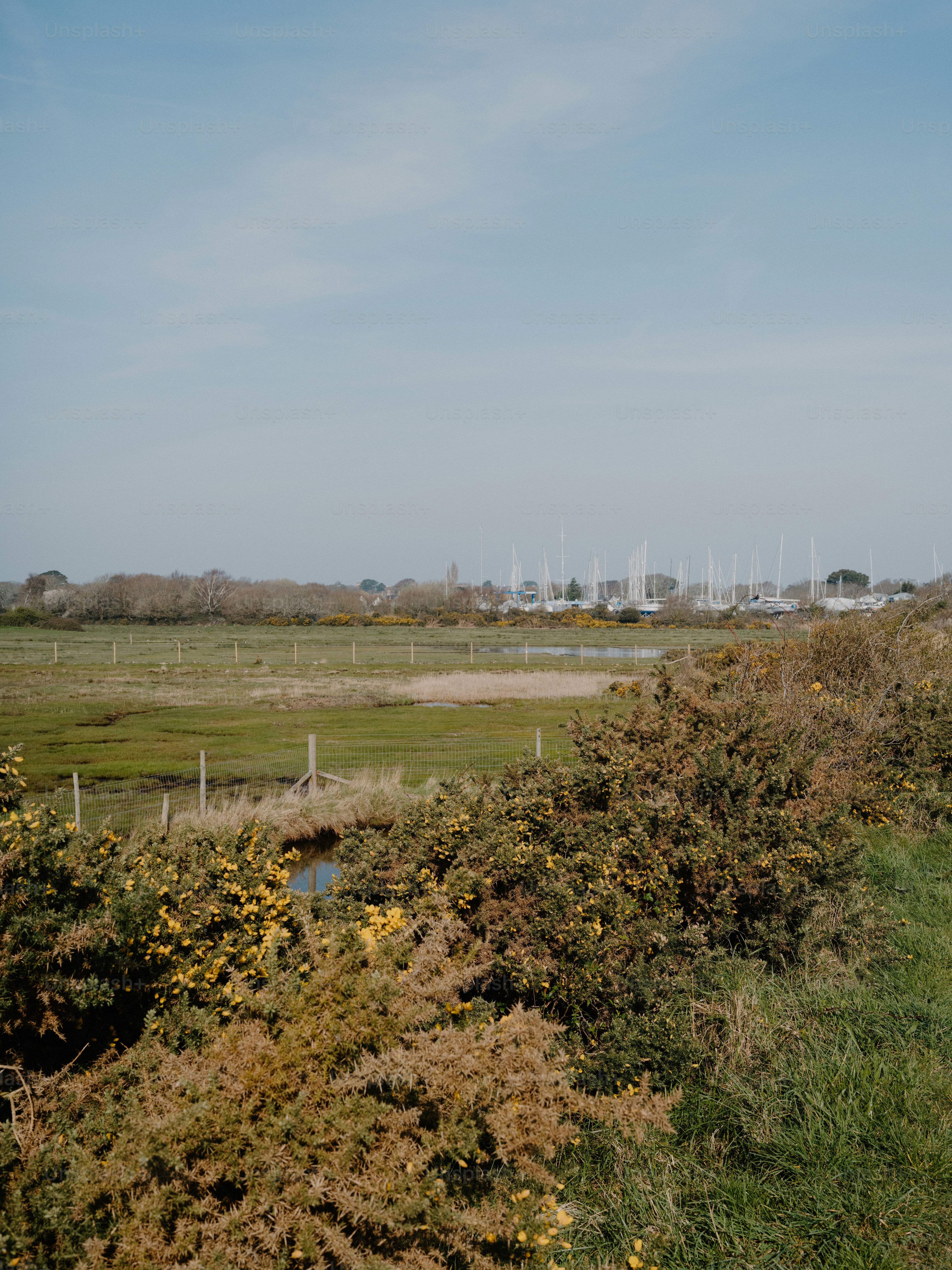 Grassy shoreline with calm water and clear sky photo – Spring Image on ...