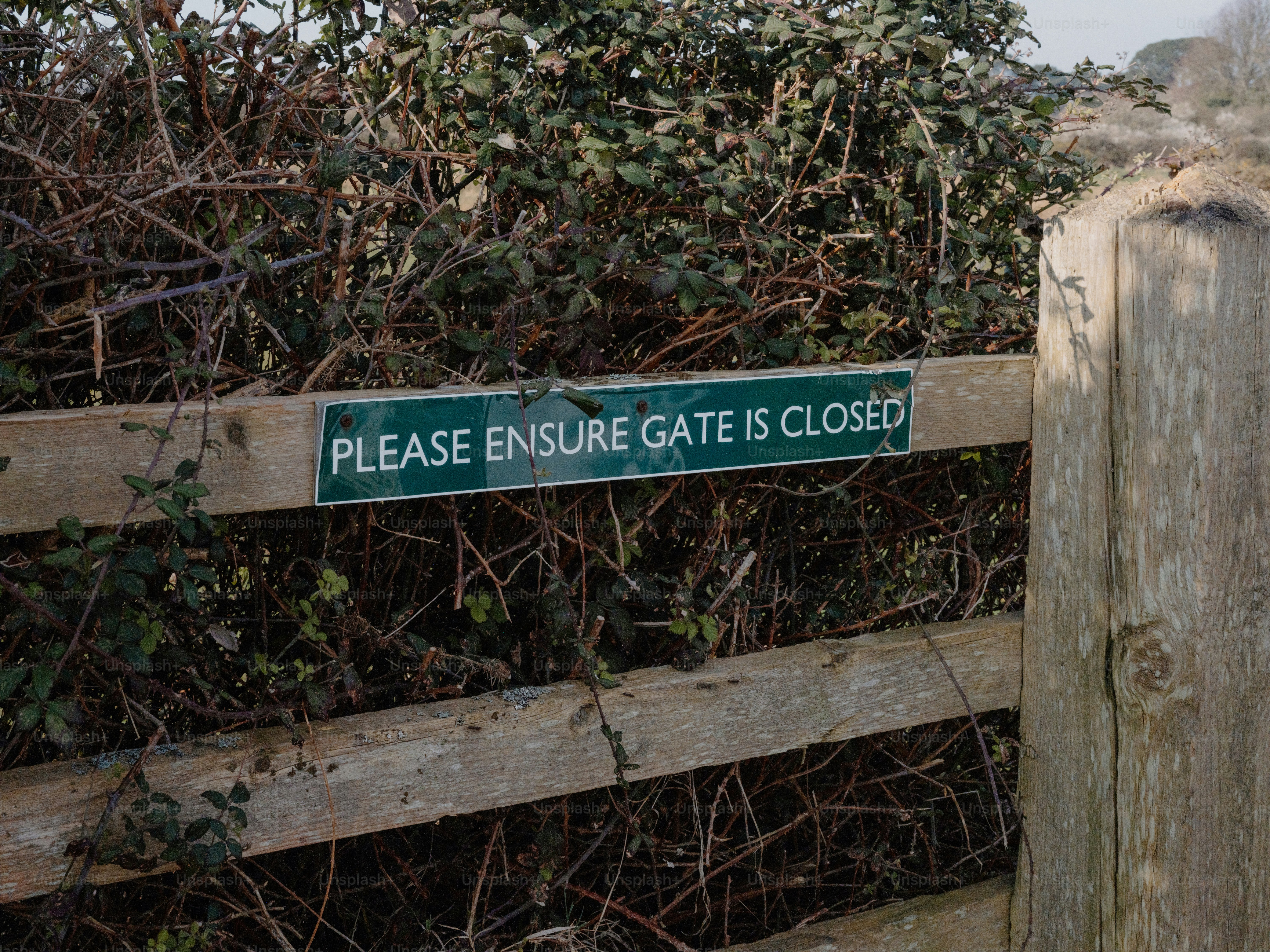 Wooden gate with a green sign photo – Countryside Image on Unsplash