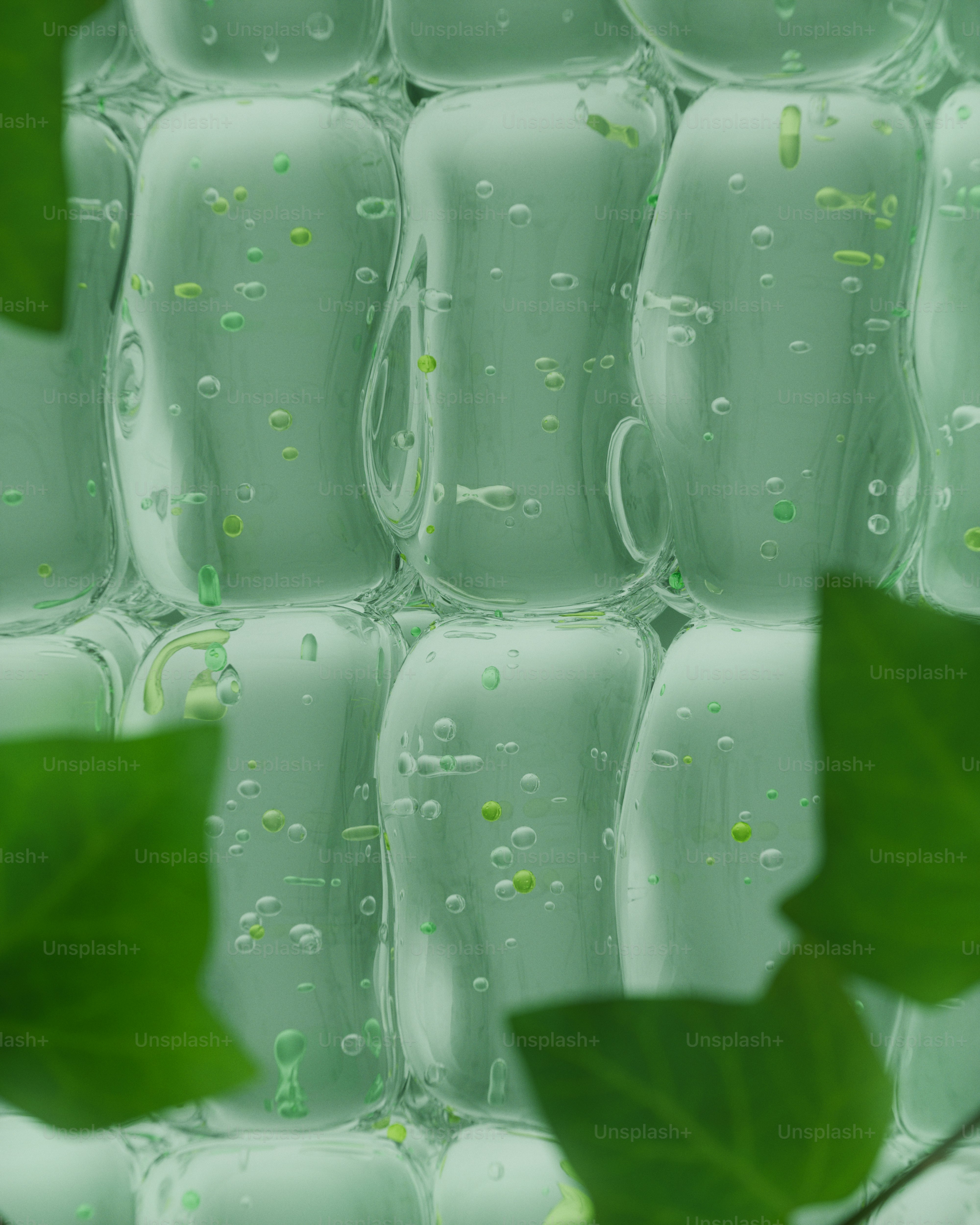 Primer plano de células vegetales con cloroplastos verdes