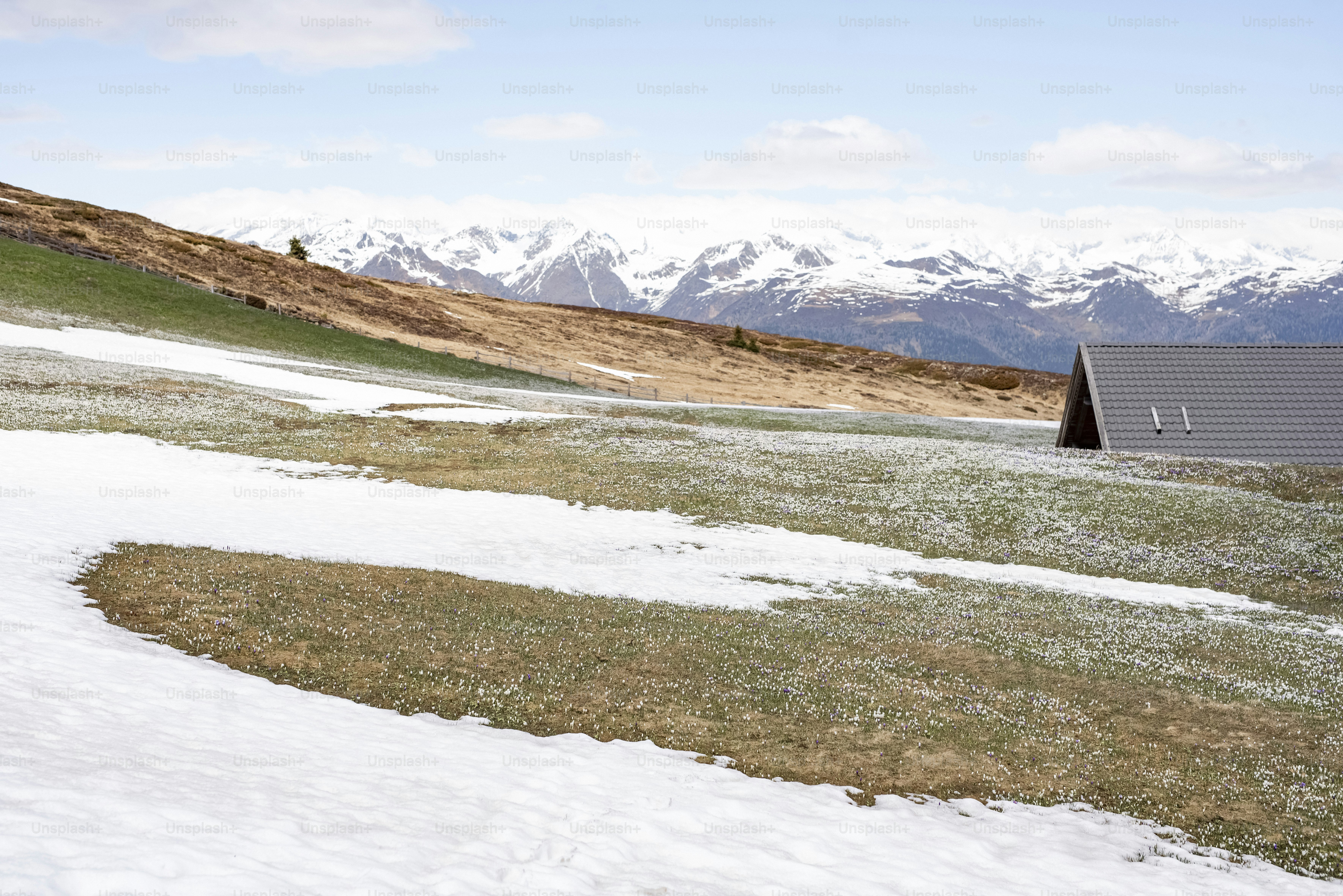 잔디가 우거진 언덕과 산의 눈밭