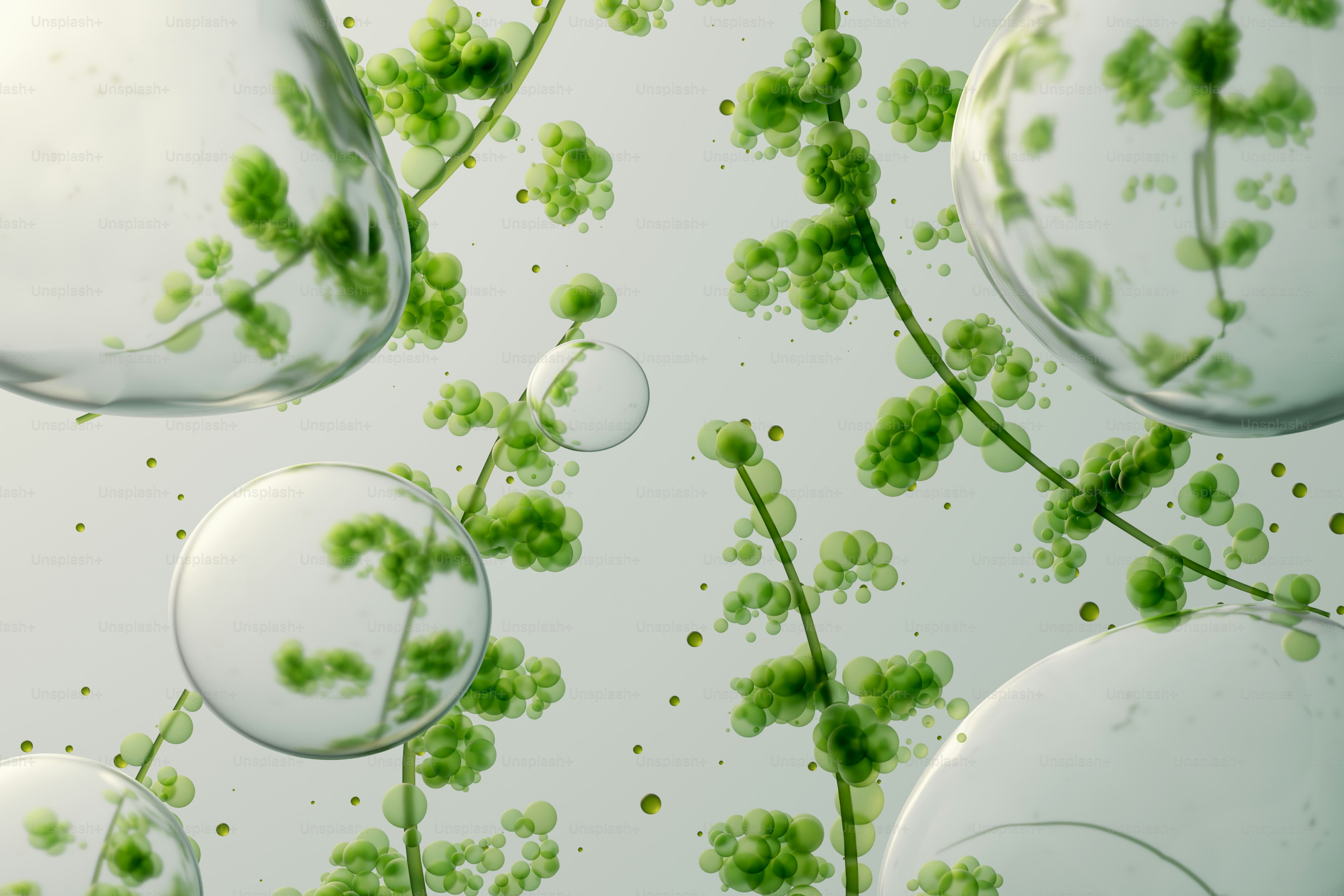 Microscopic view of plant cells with green chlorophyll photo – Texture ...