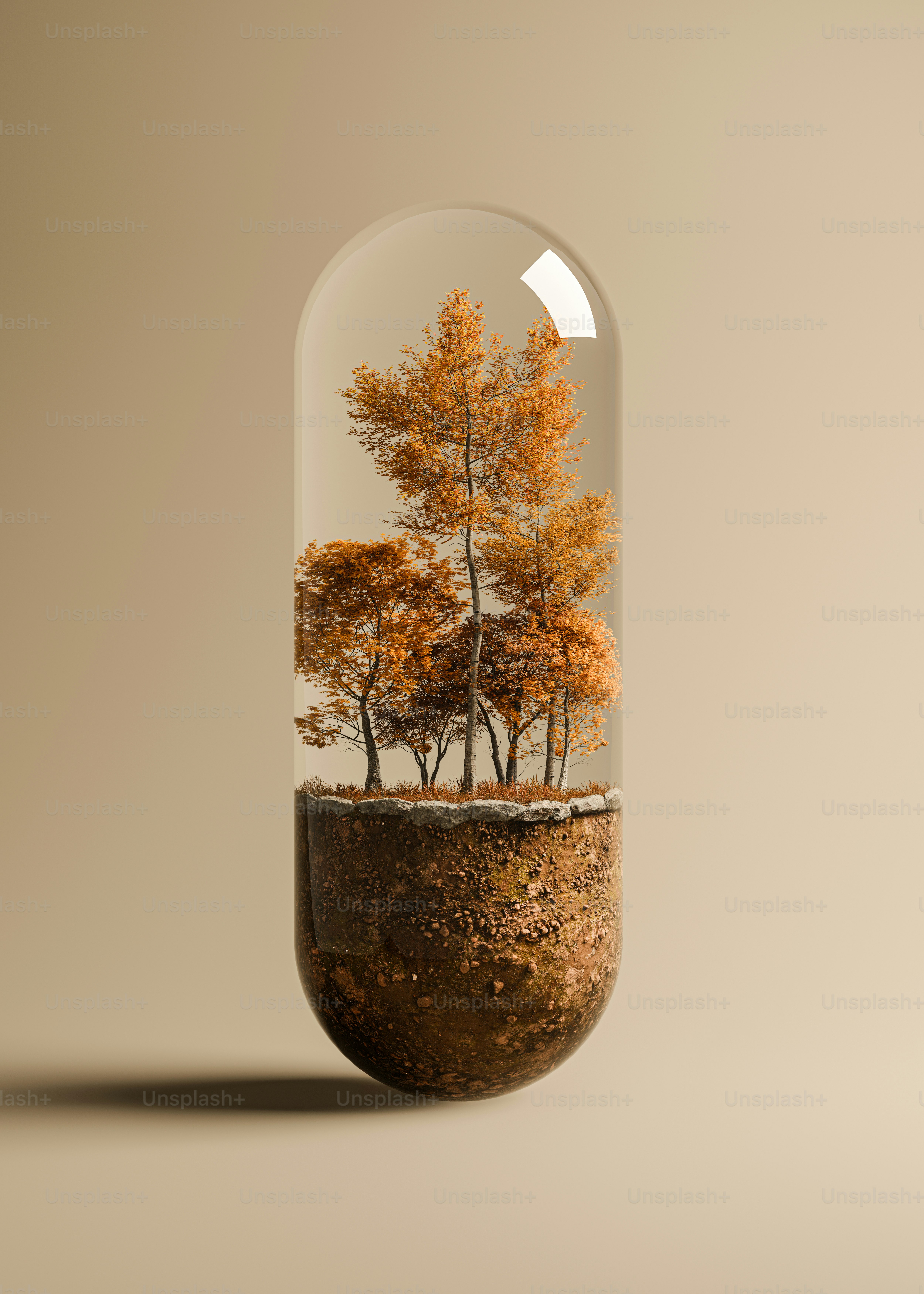 Autumn trees inside a transparent capsule