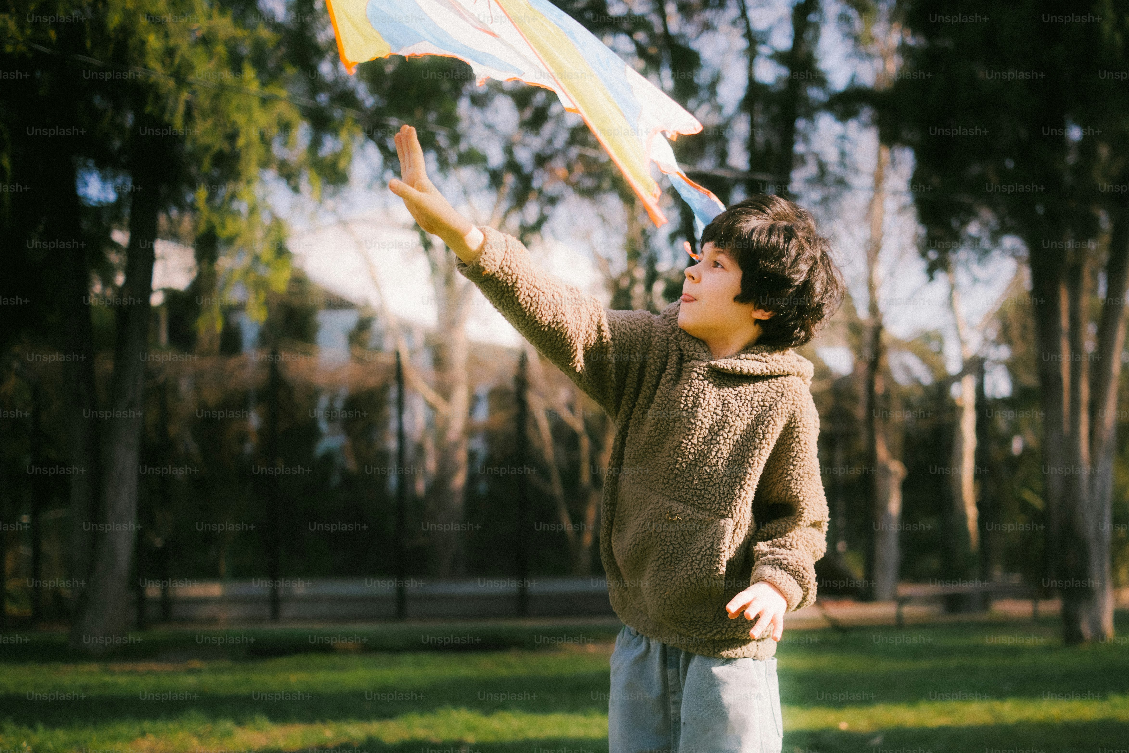 Boy flying a colorful kite in a park - Photo on Unsplash+