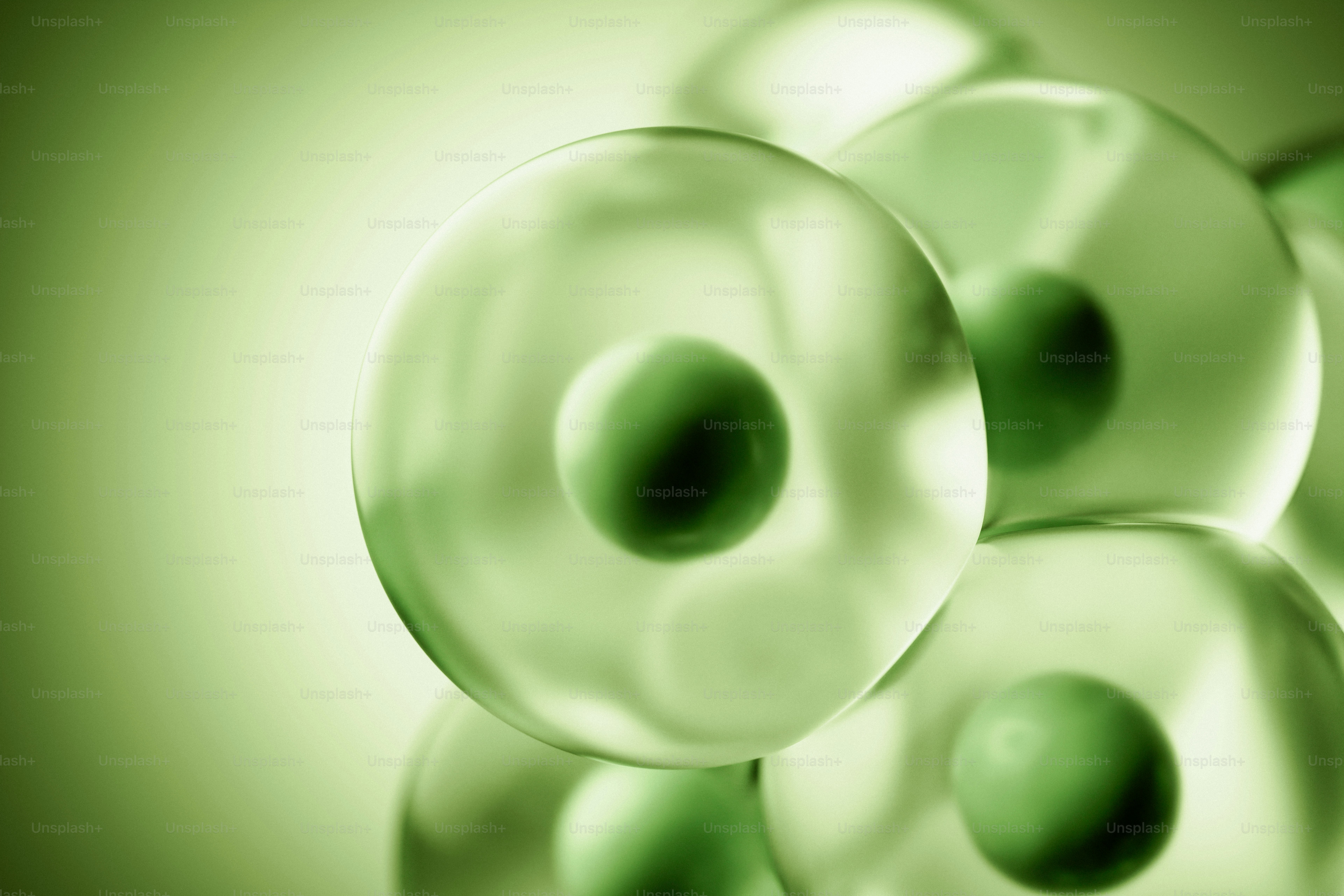 Células translúcidas verdes com núcleos escuros