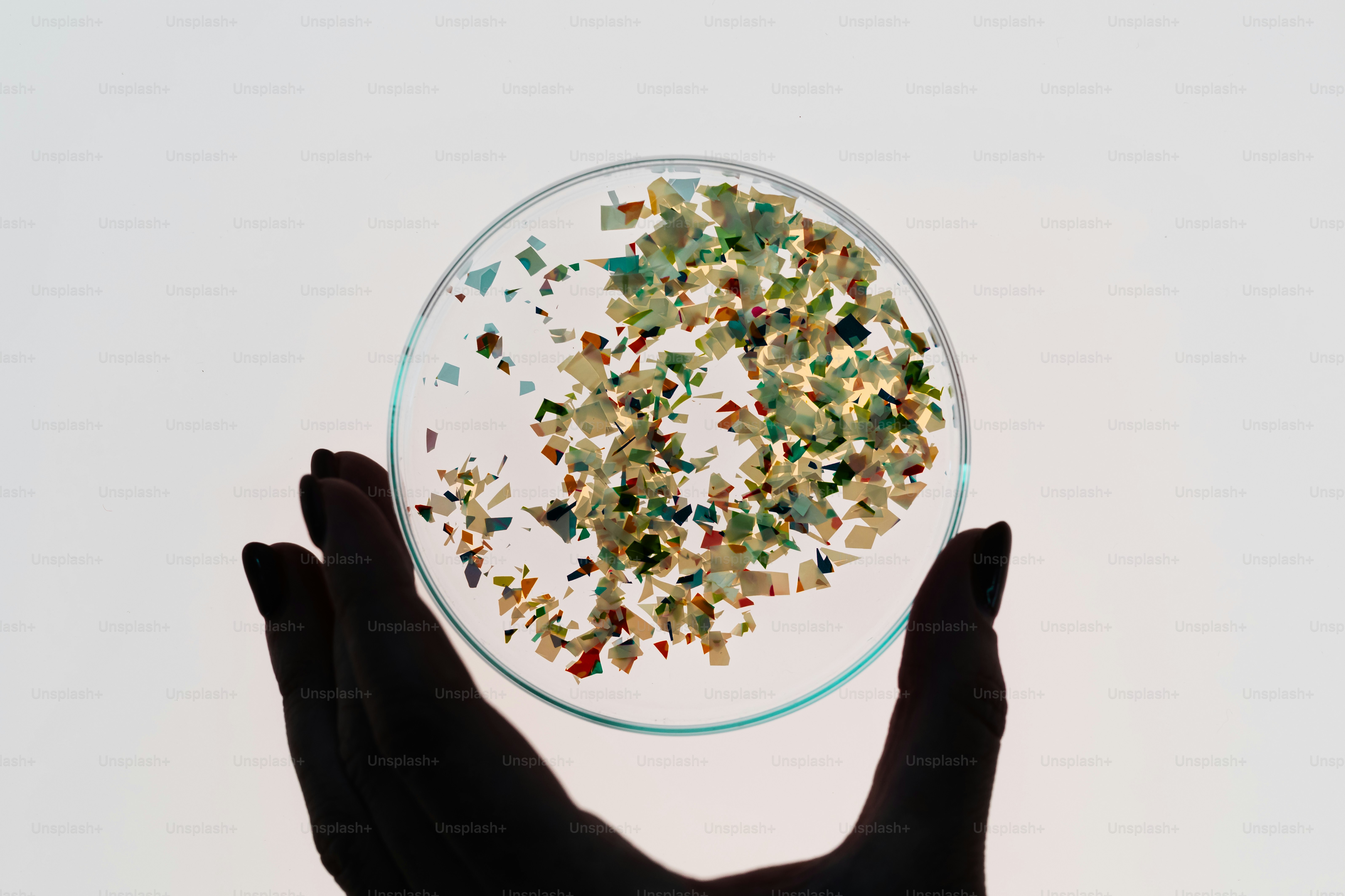 Sujetando la placa de Petri de la mano con microplásticos coloridos