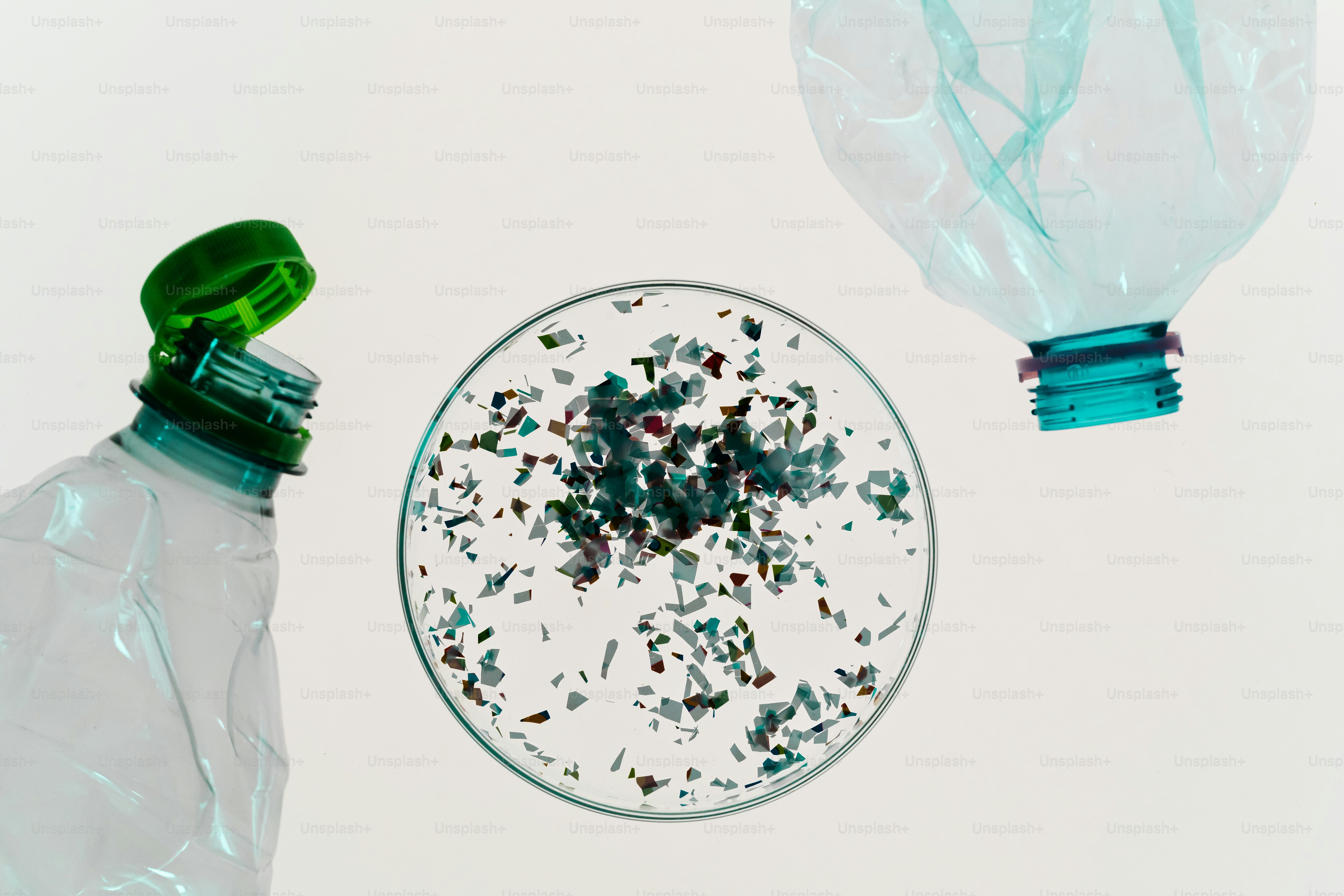 Plastic bottle fragments in petri dish with bottles