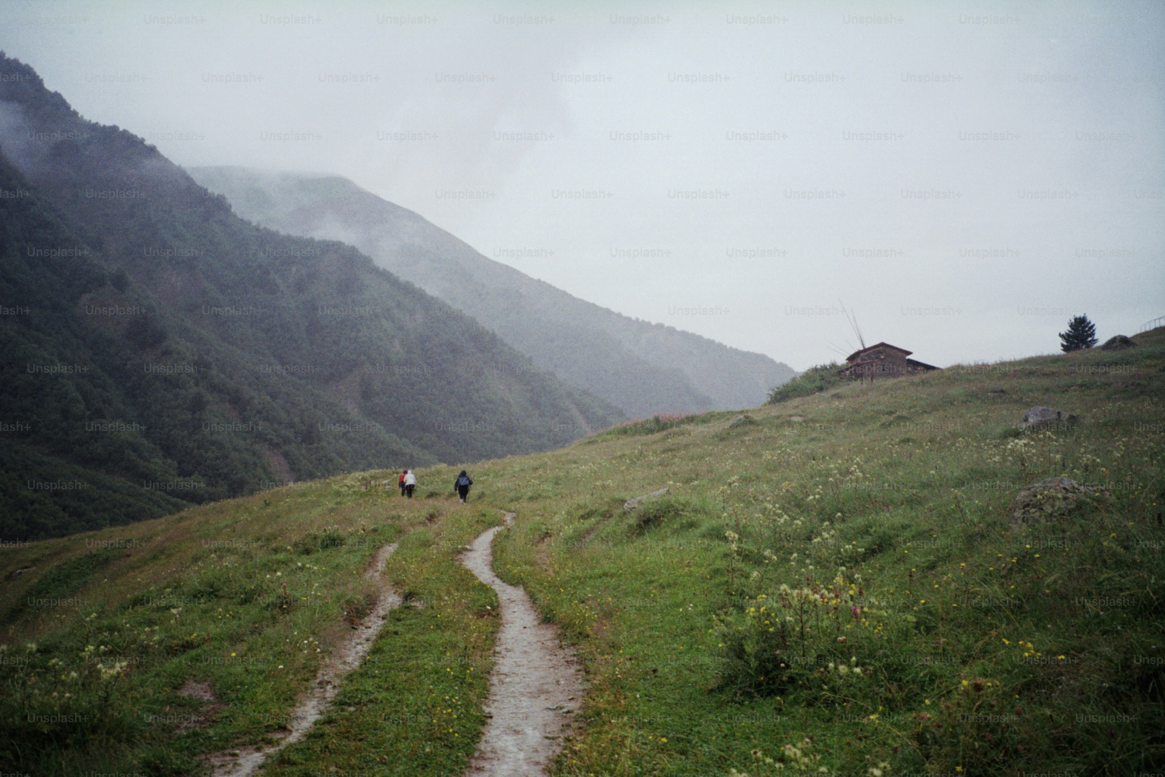 Two hikers on a grassy mountain trail under cloudy sky photo – Travel ...