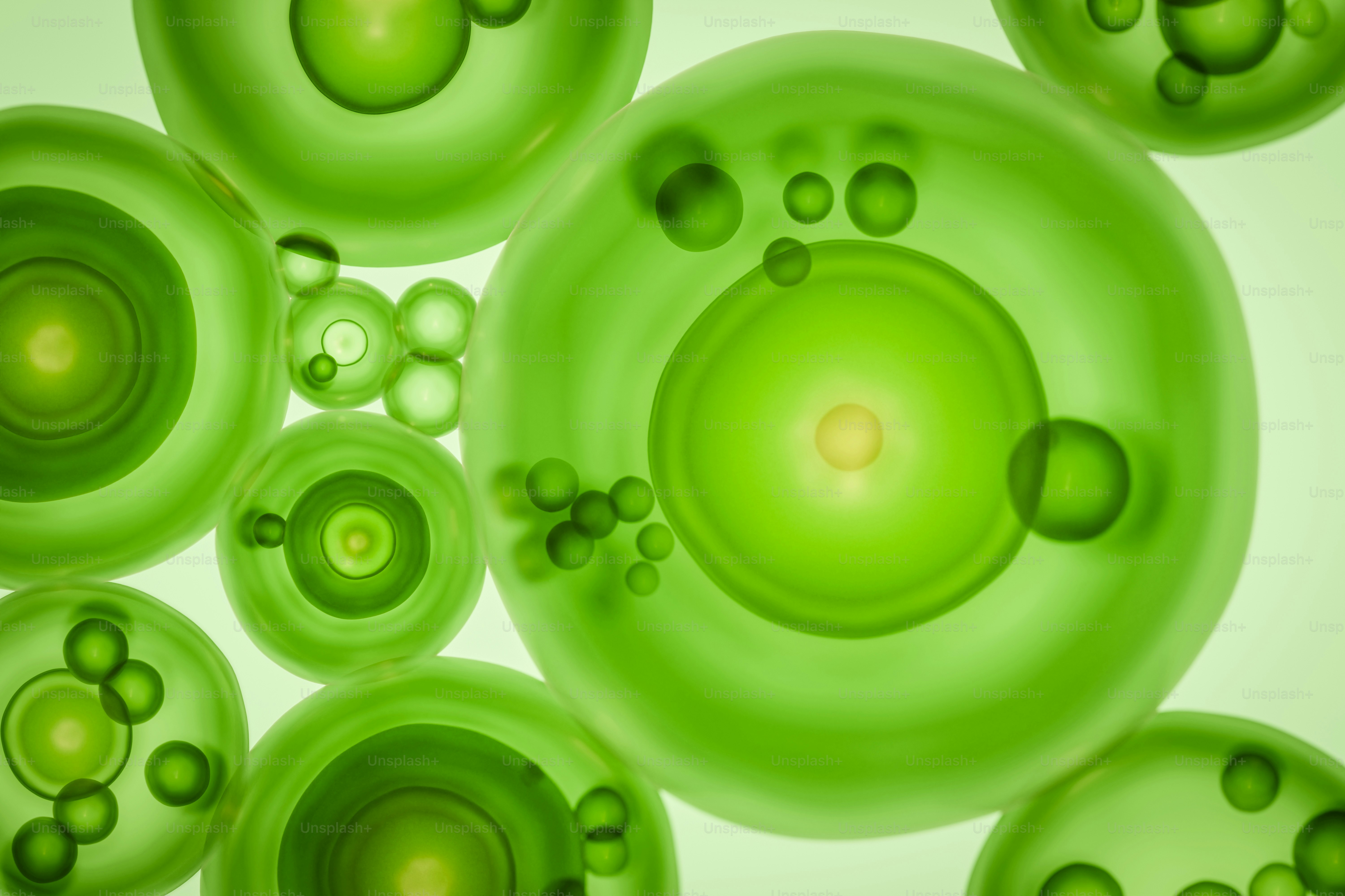 Close-up of green cells with dark nuclei photo – Medical Image on Unsplash