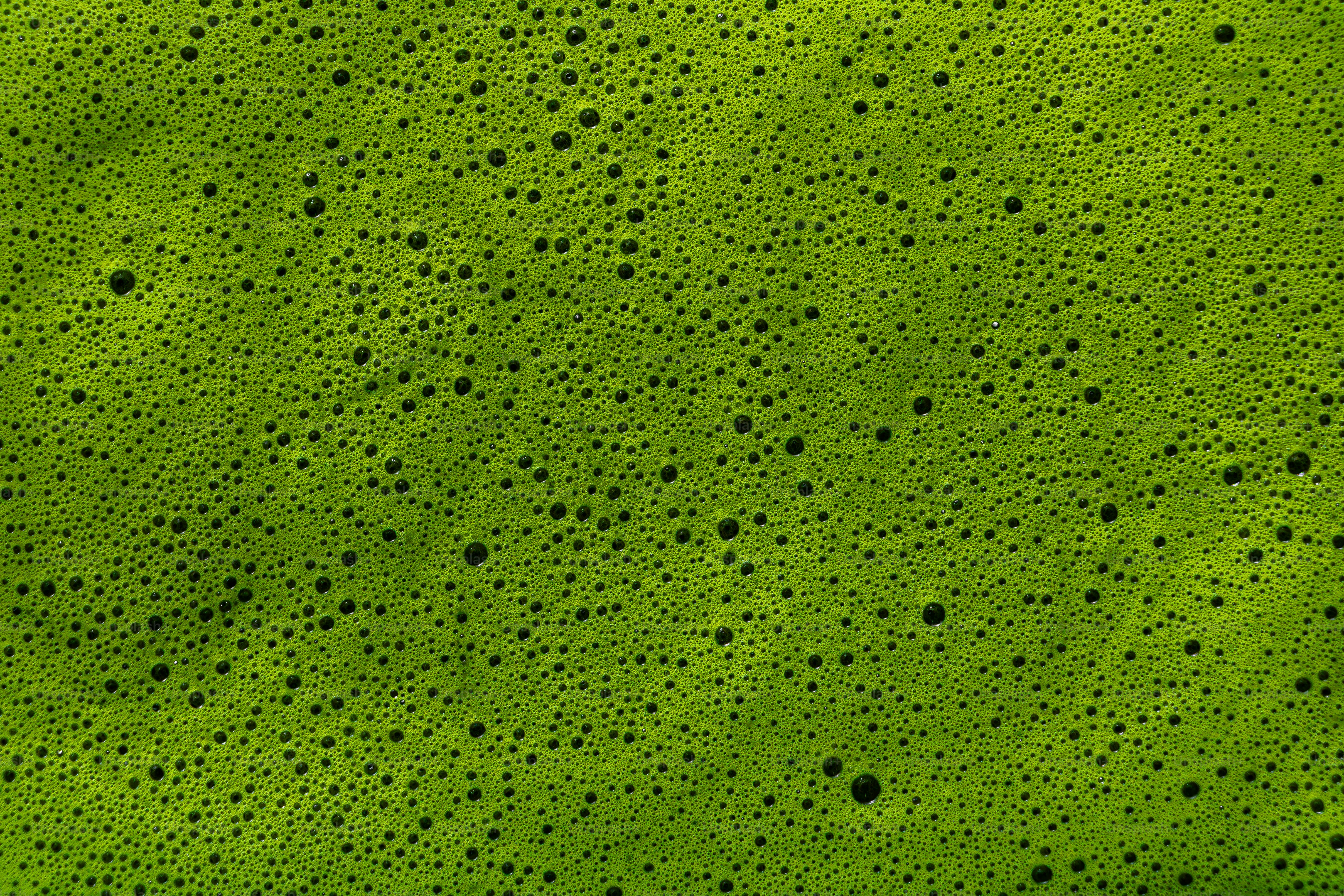 泡がついた鮮やかな緑色抹茶泡のクローズアップ。