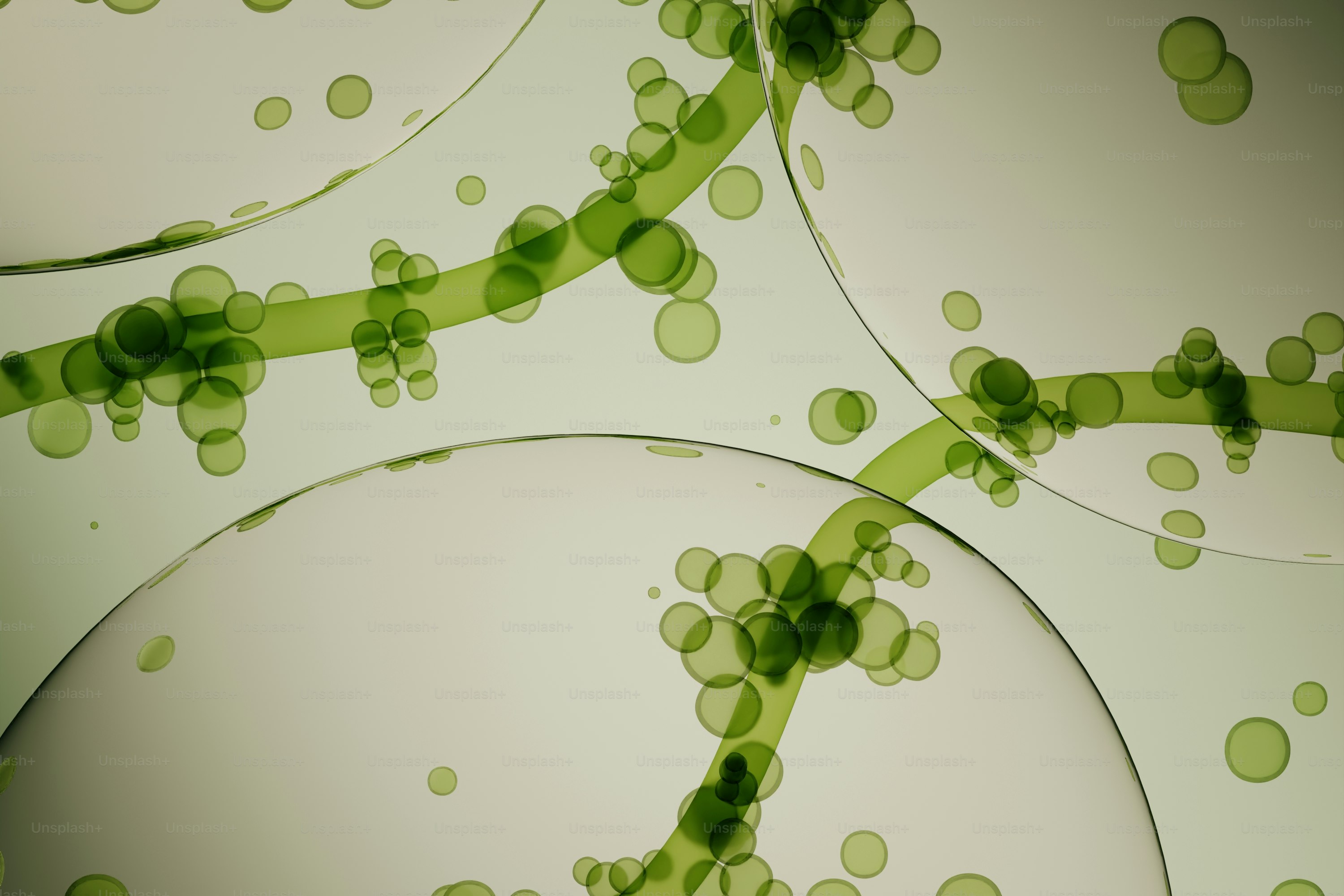 Science Illustration Pictures | Download Free Images on Unsplash