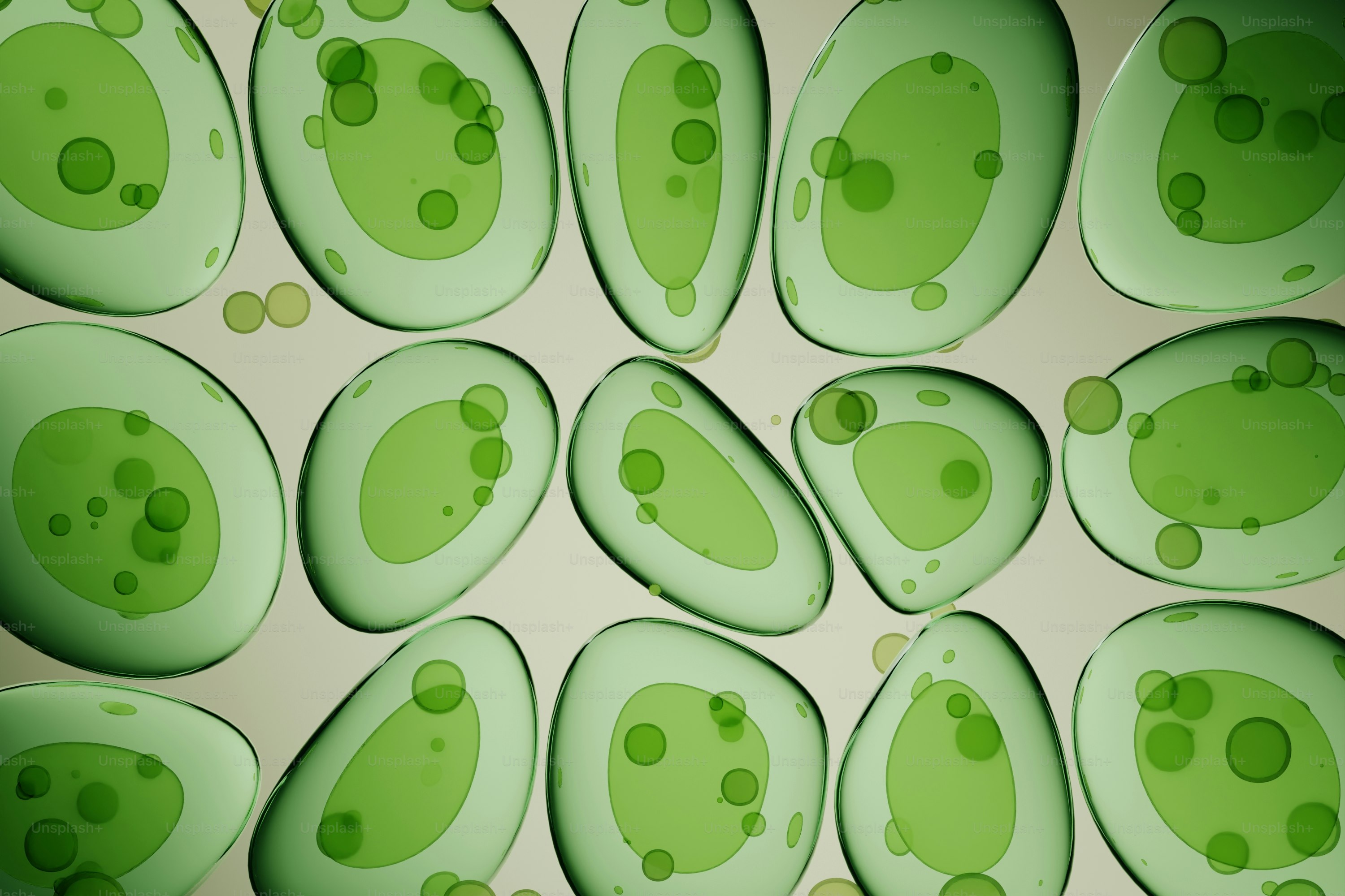 Vista microscopica delle cellule verdi con inclusioni circolari
