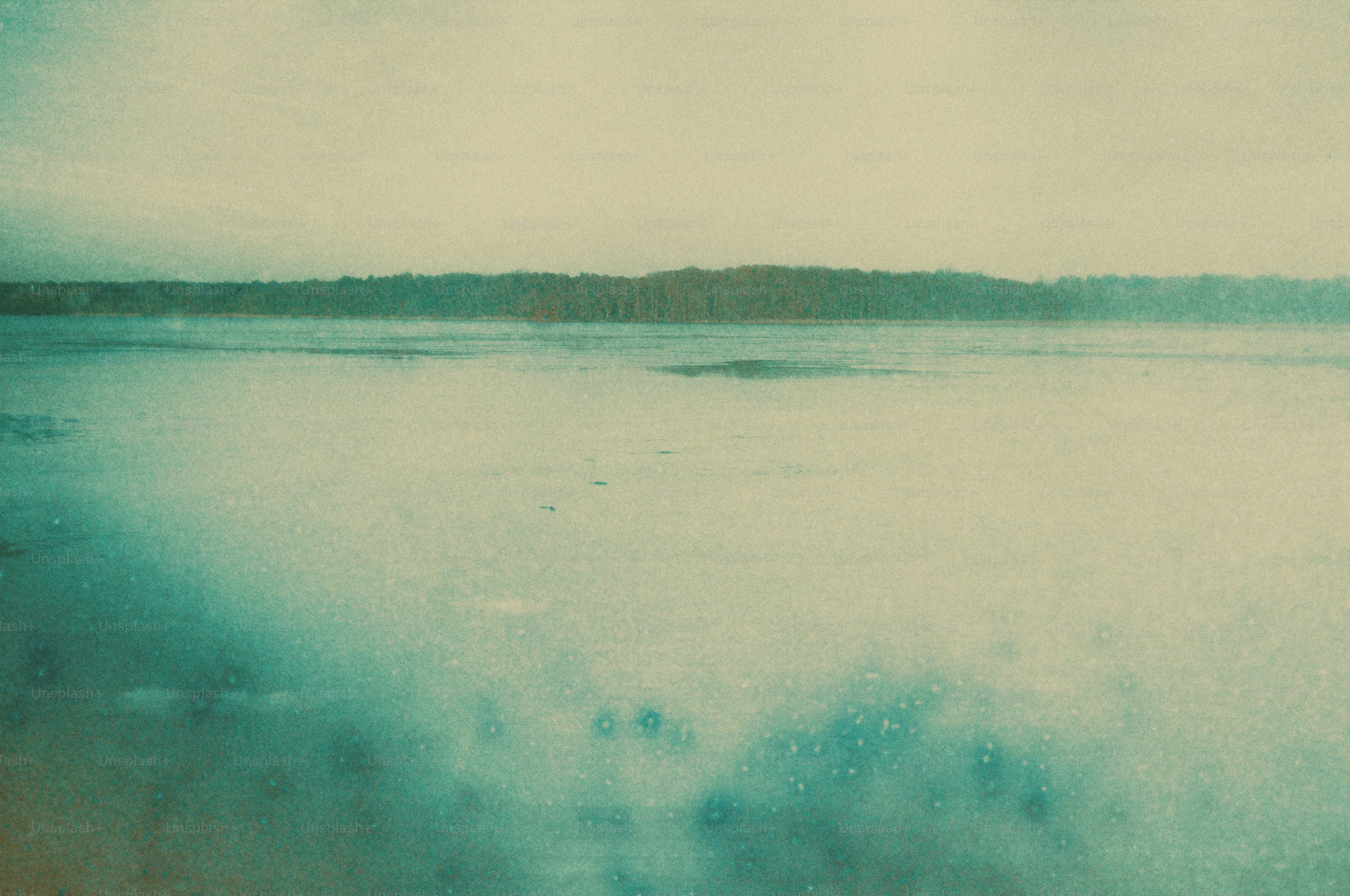 Eine dunstige, gedämpfte Landschaft mit dunkler Baumgrenze