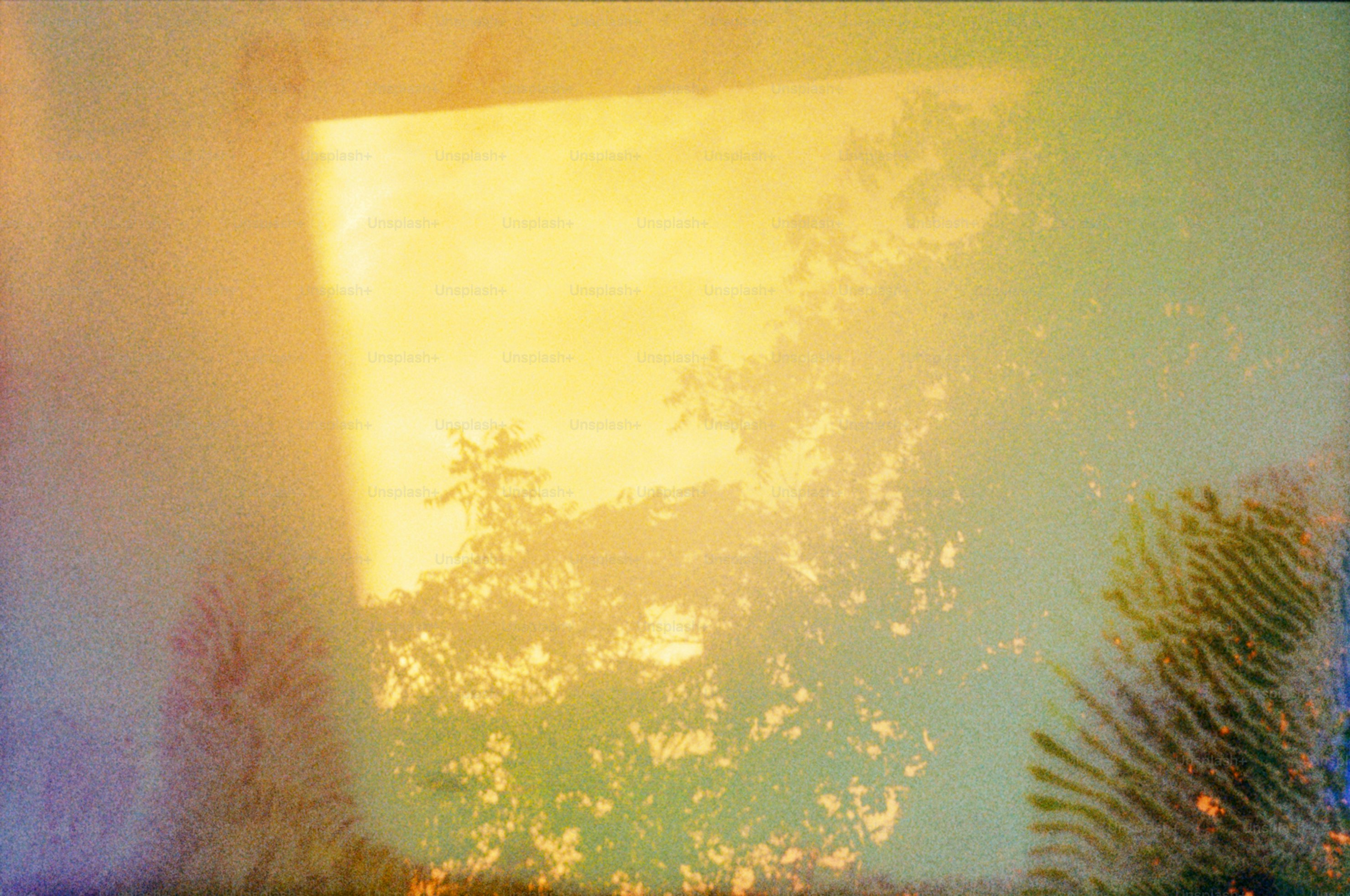 Luz cálida y abstracta a través de árboles y ventanas