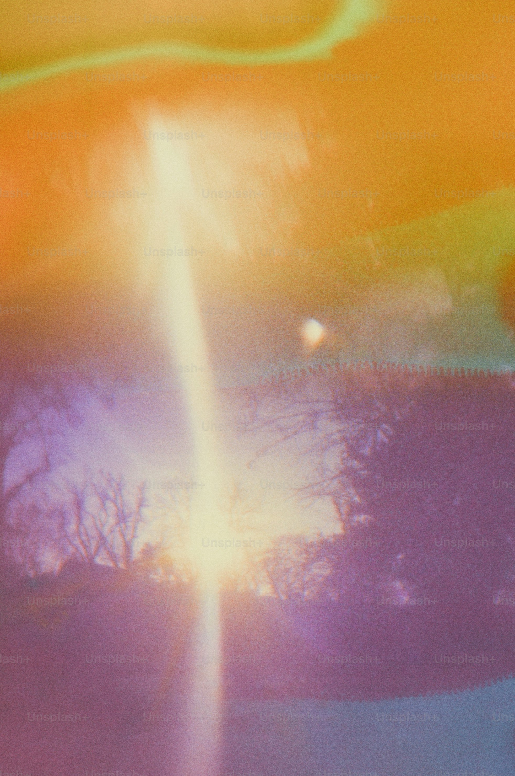 Un destello de luz abstracto y colorido sobre árboles silueteados