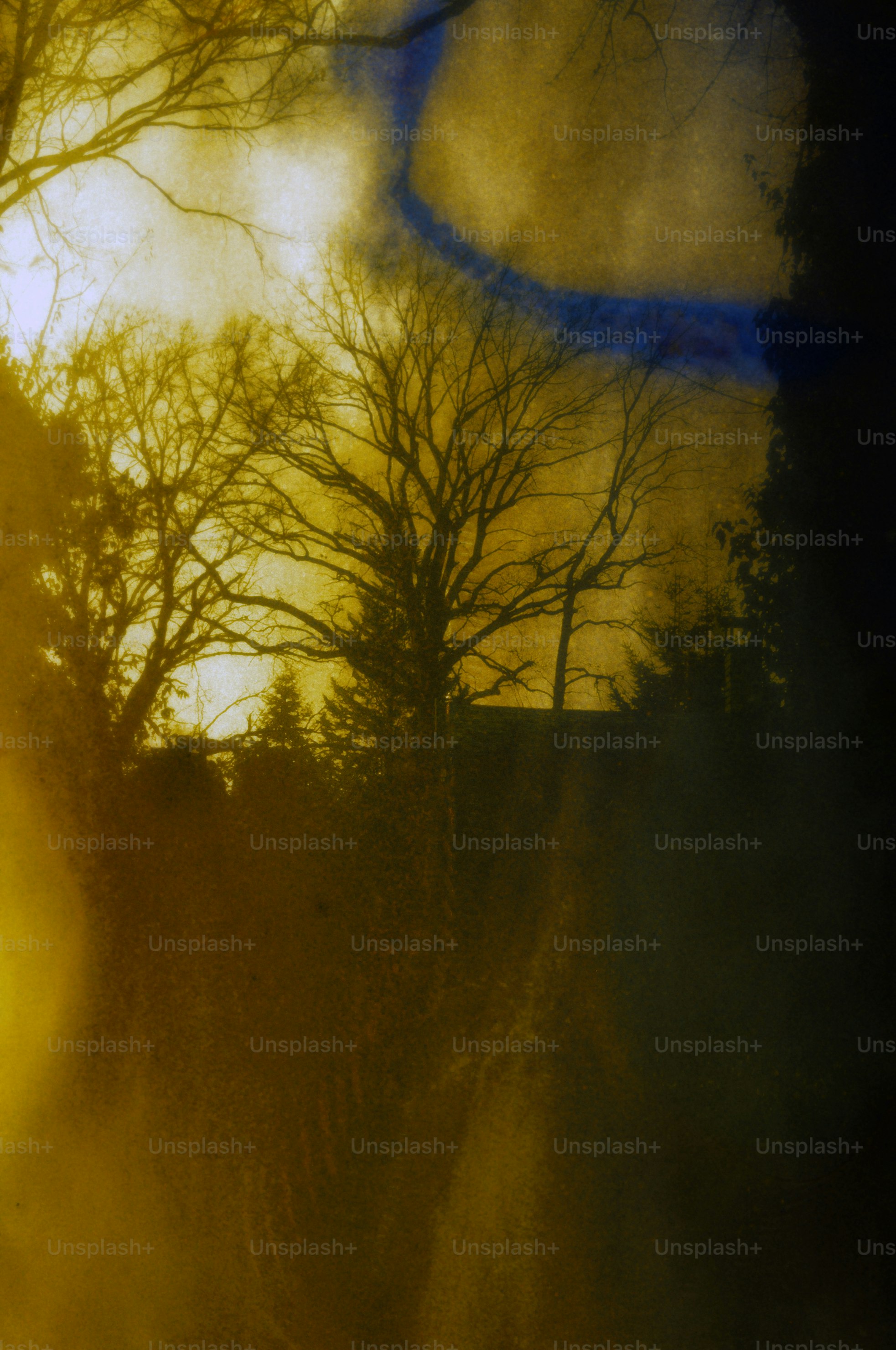 Kahle Bäume zeichneten sich gegen einen wolkigen, farbenfrohen Himmel ab.