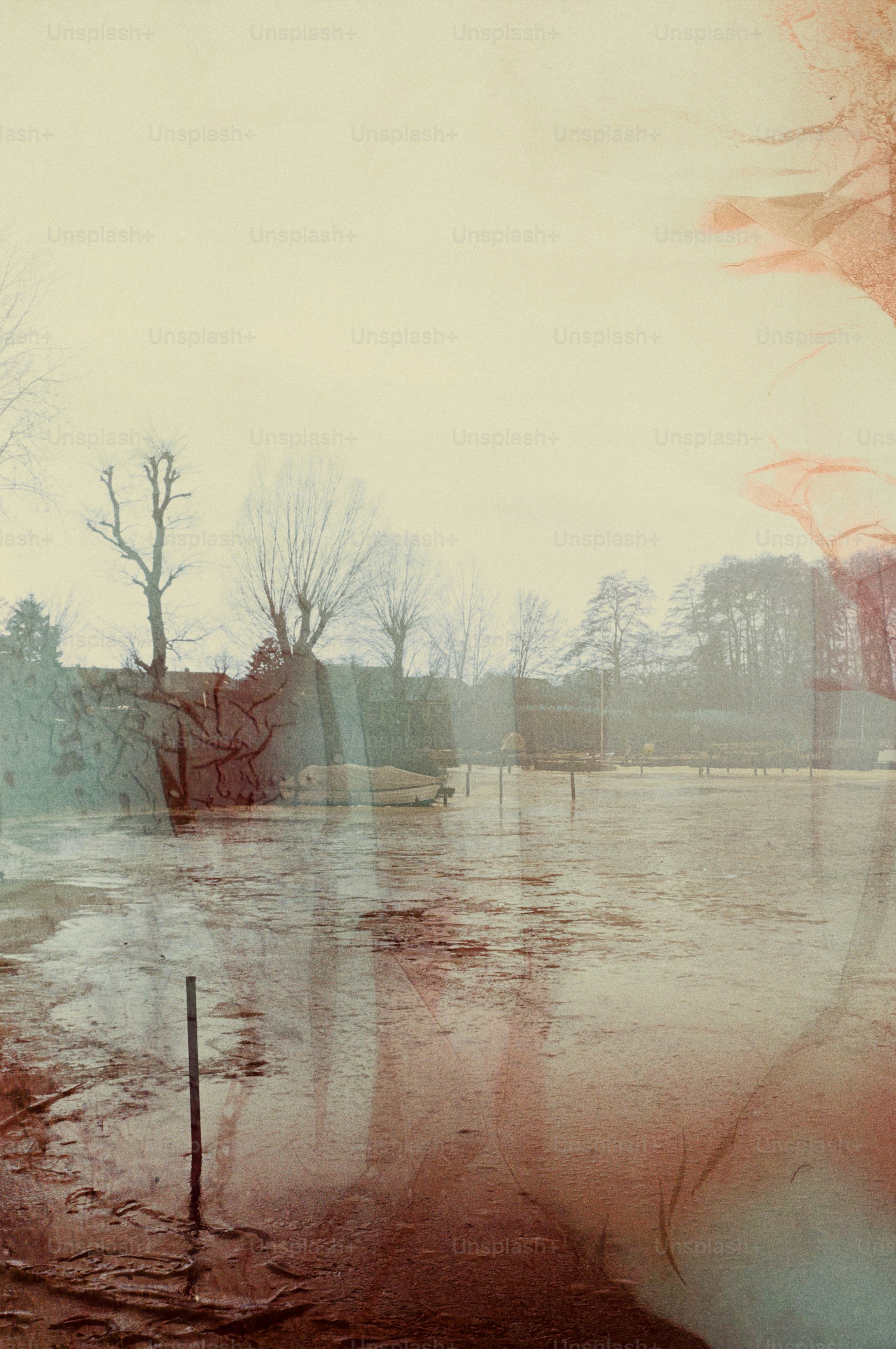 Bewölkter Tag mit zugefrorenem See und kahlen Bäumen