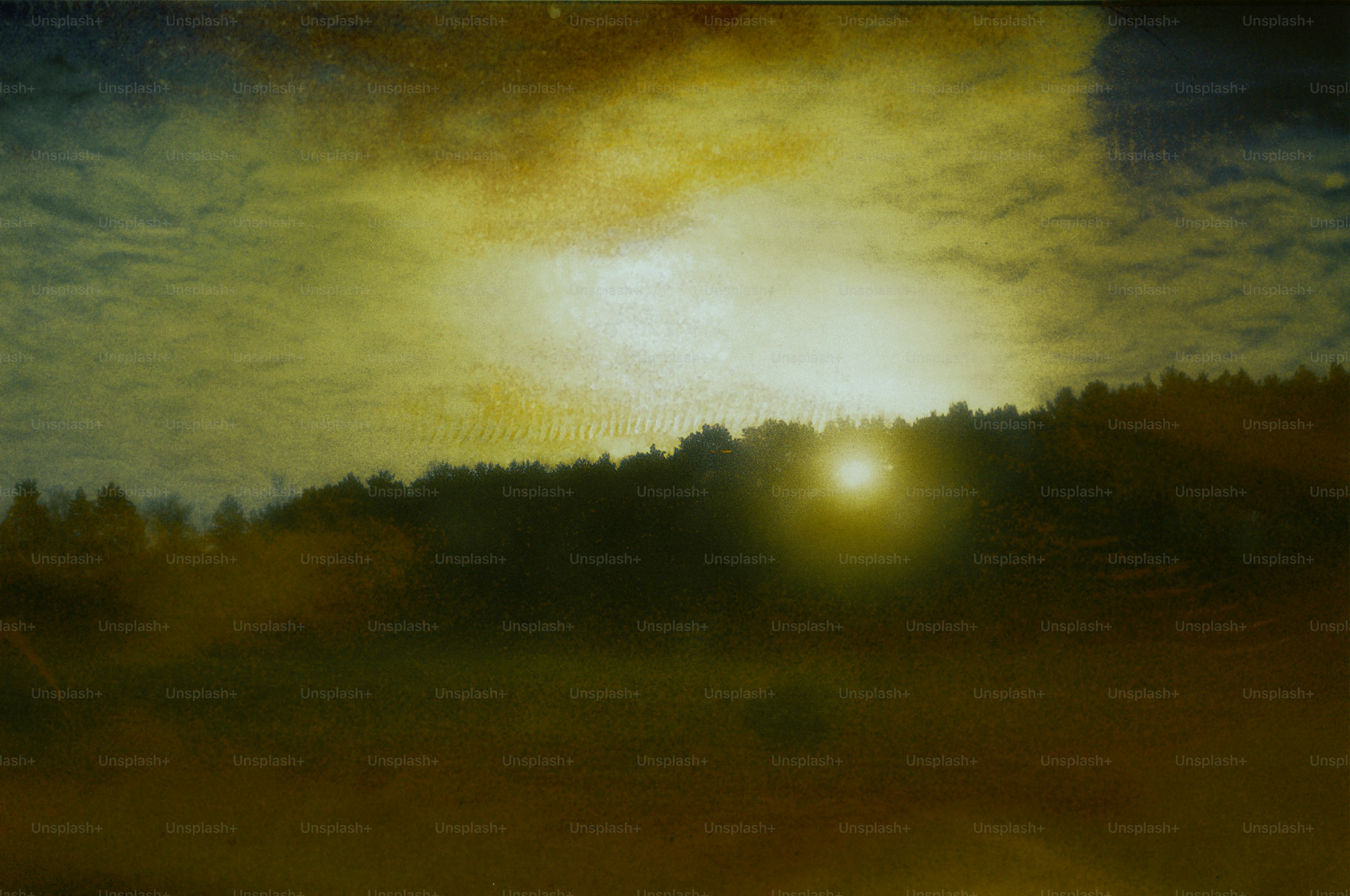 Sol poniéndose tras la línea de árboles