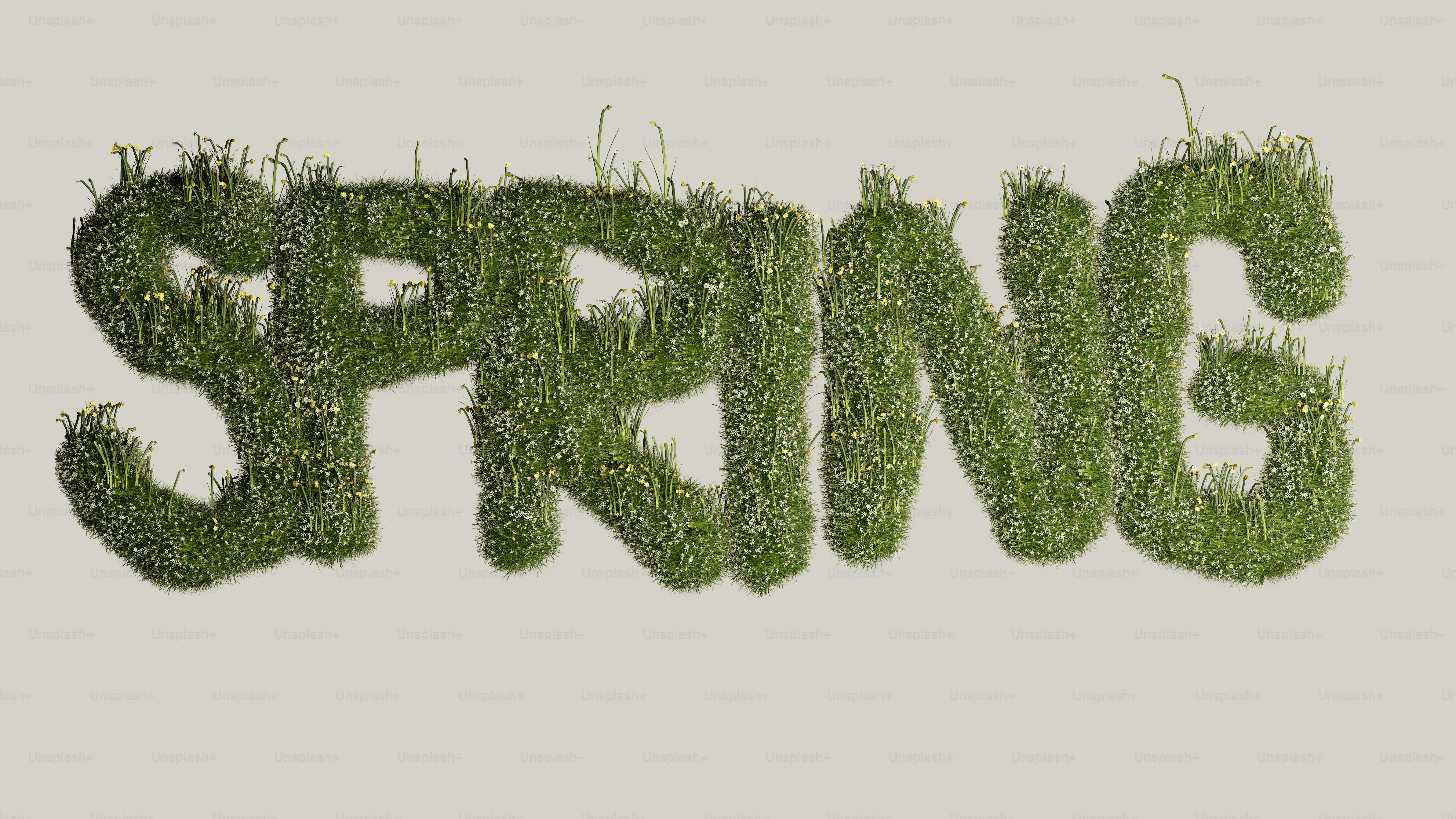 La palabra primavera hecha de hierba verde