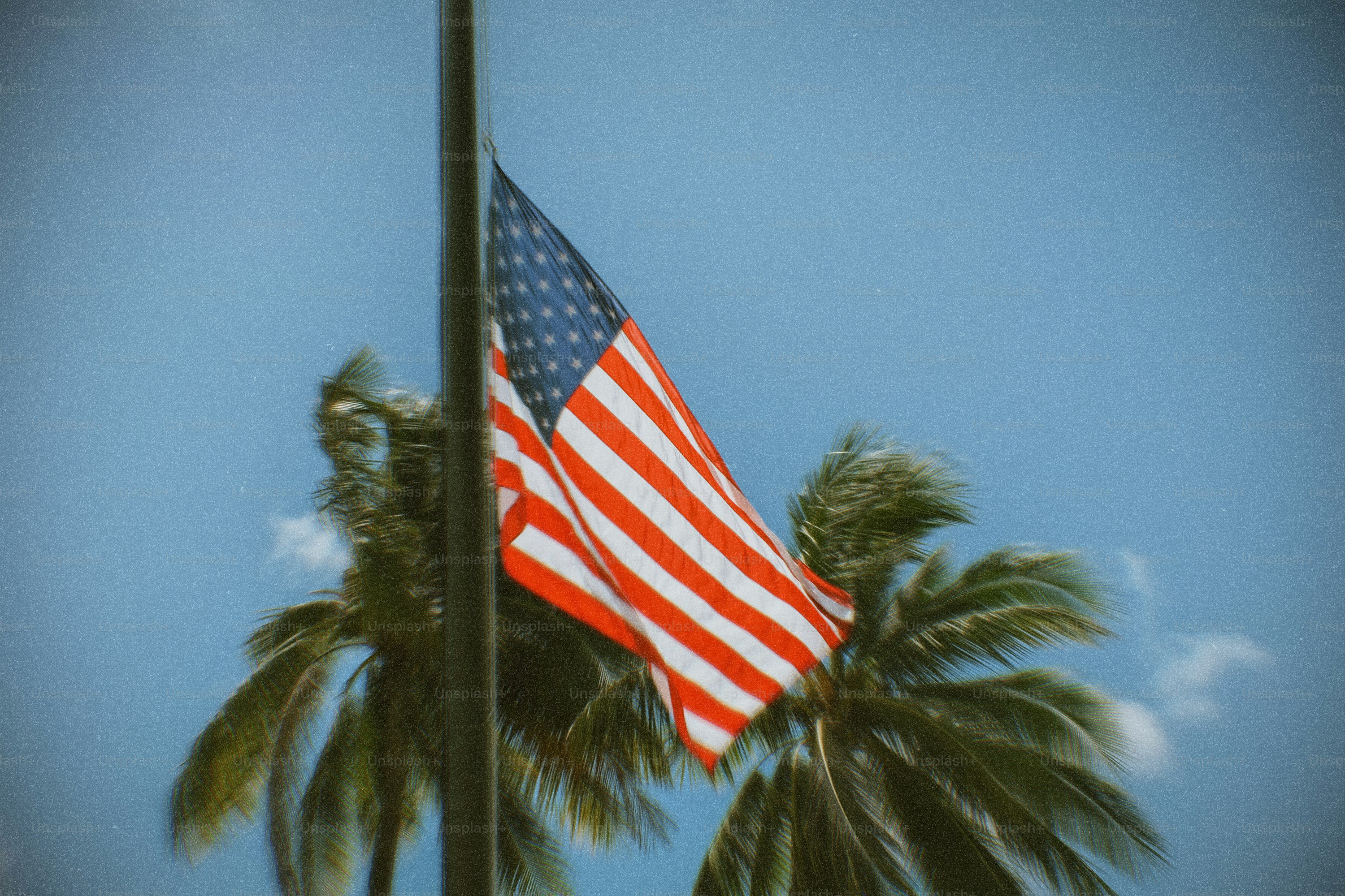 American flag waving on a flagpole with palm trees.