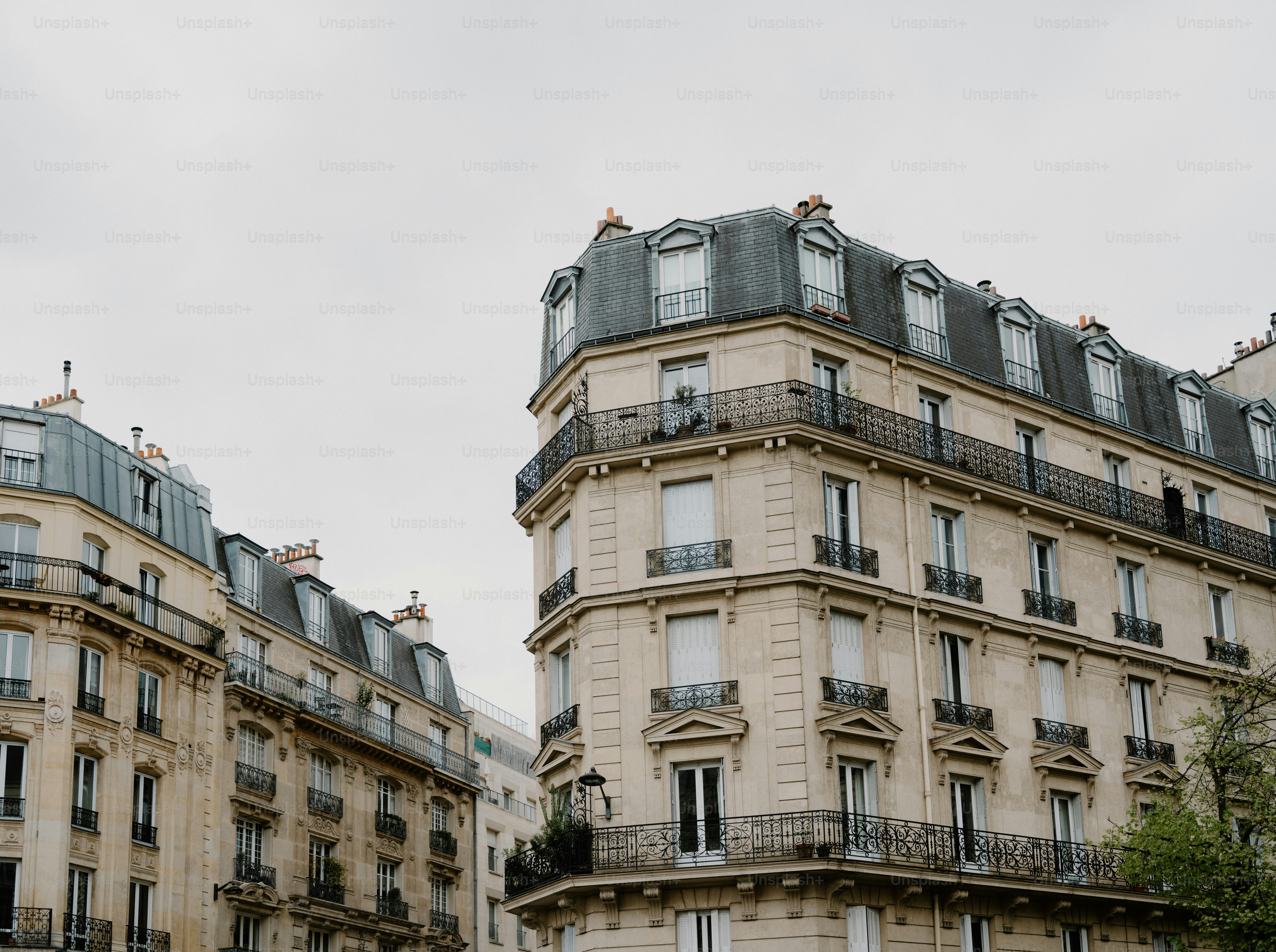 Ornate parisian buildings with mansard roofs under grey sky