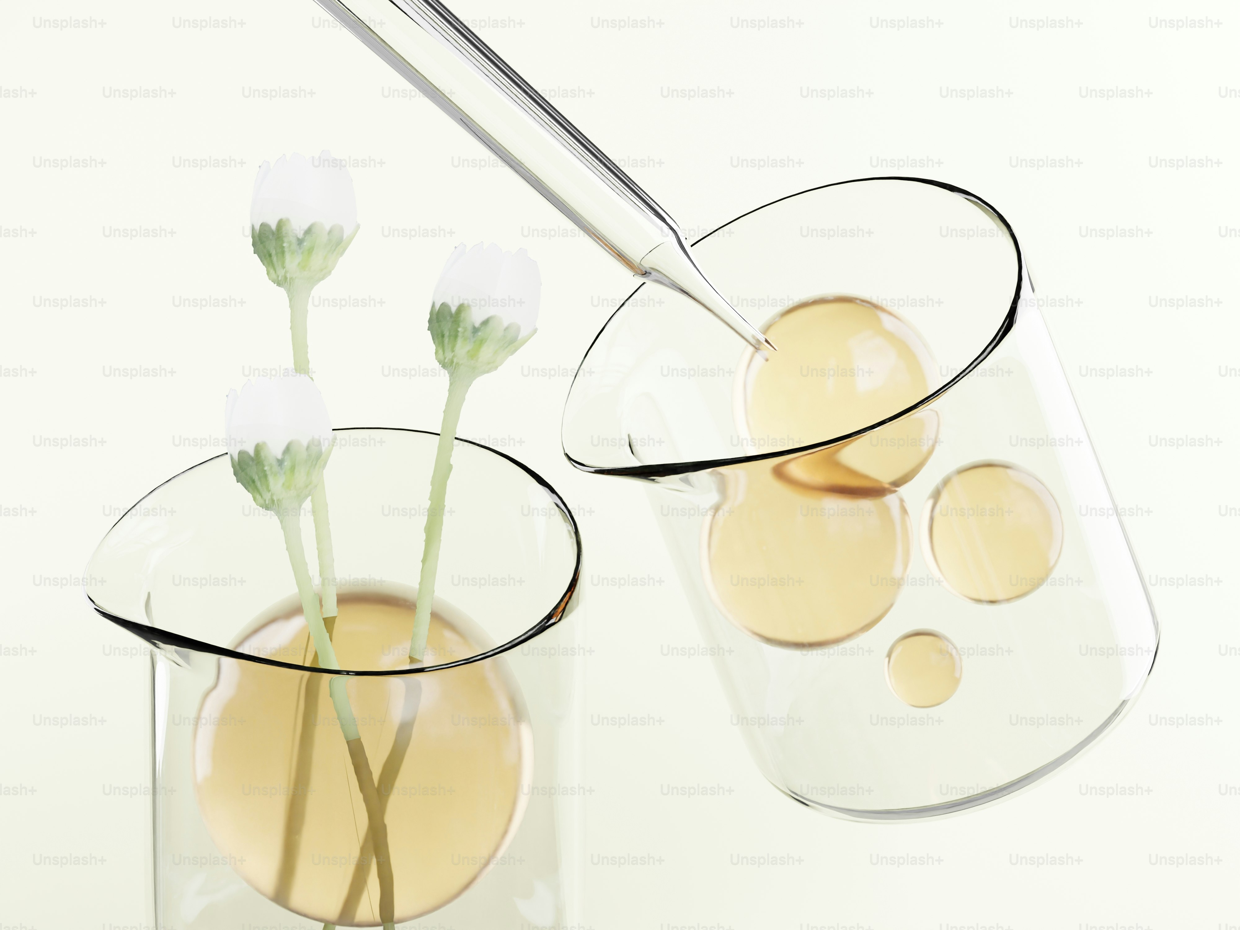 ビーカーの中の花や液滴