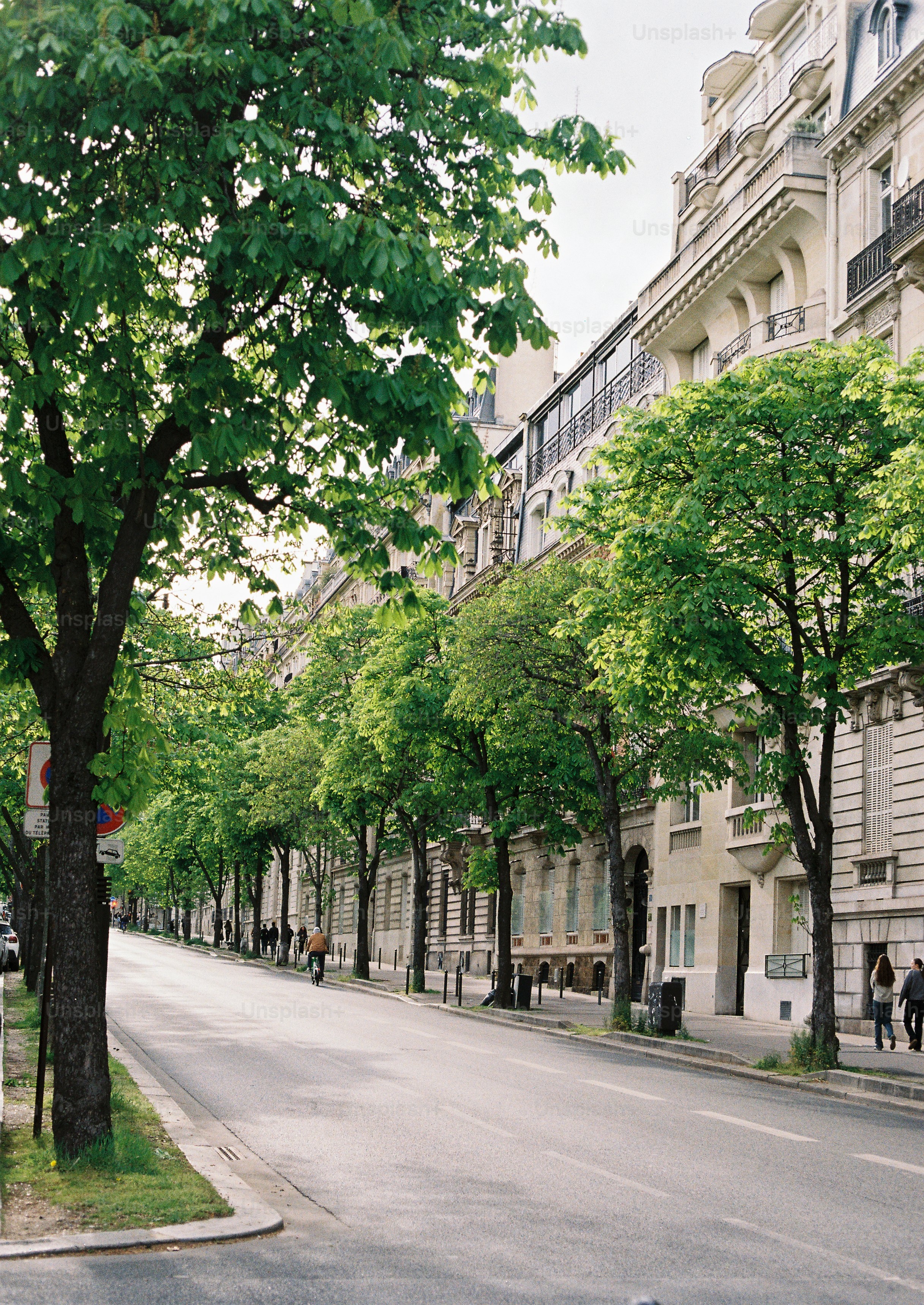 Strada alberata con architettura parigina e persone che camminano