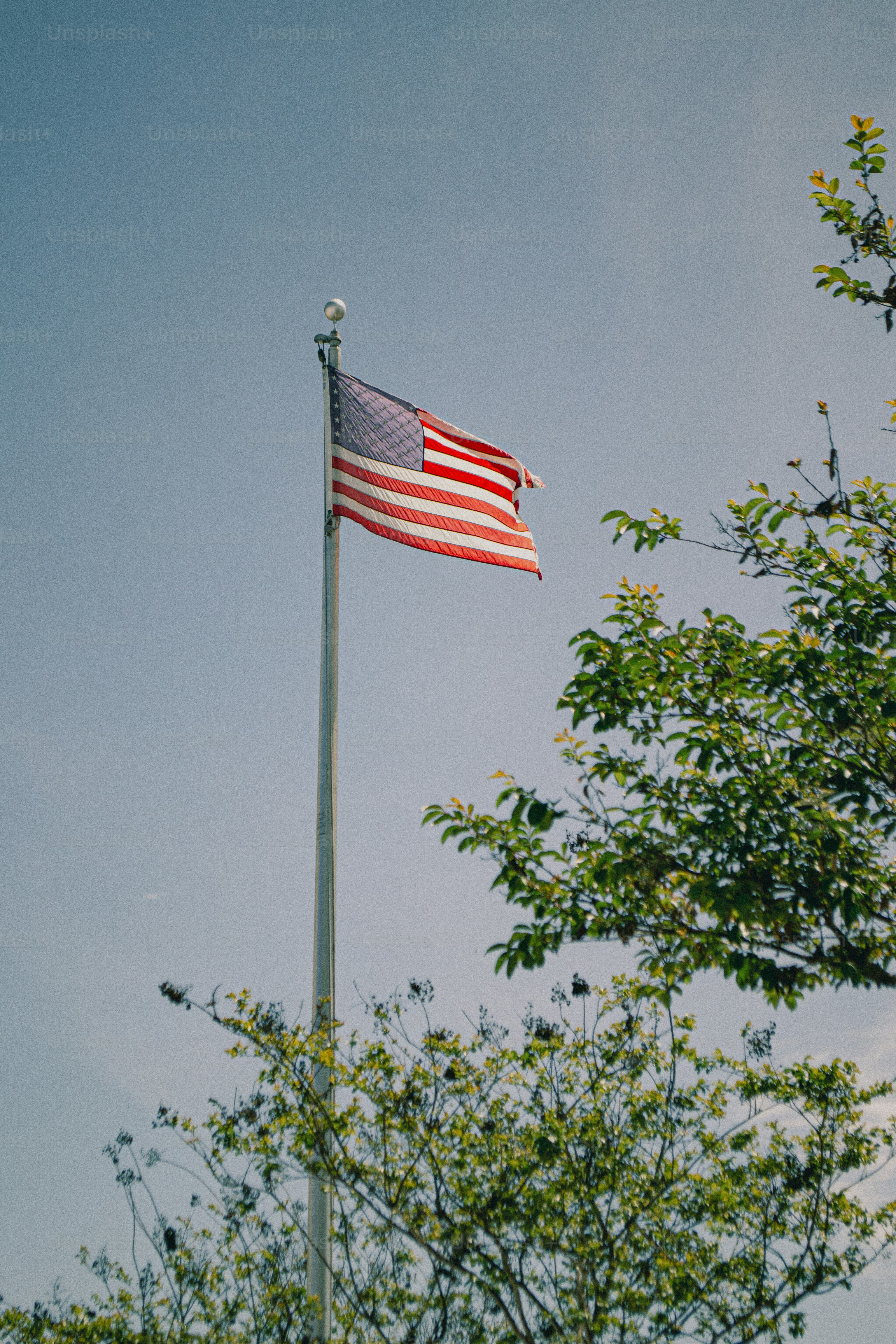 American flag waving against a clear blue sky photo – Usa Image on Unsplash