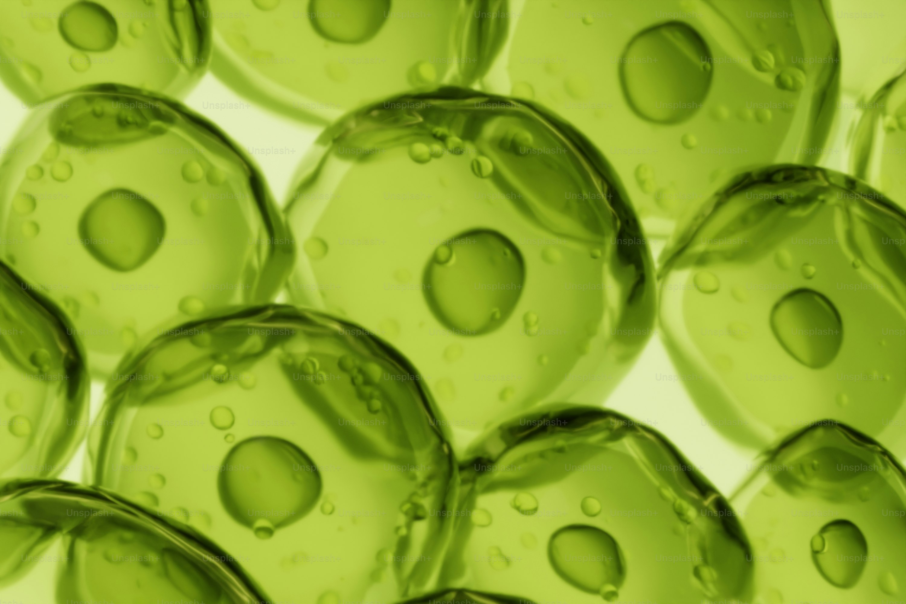 핵과 핵이 보이는 녹색 세포의 클로즈업