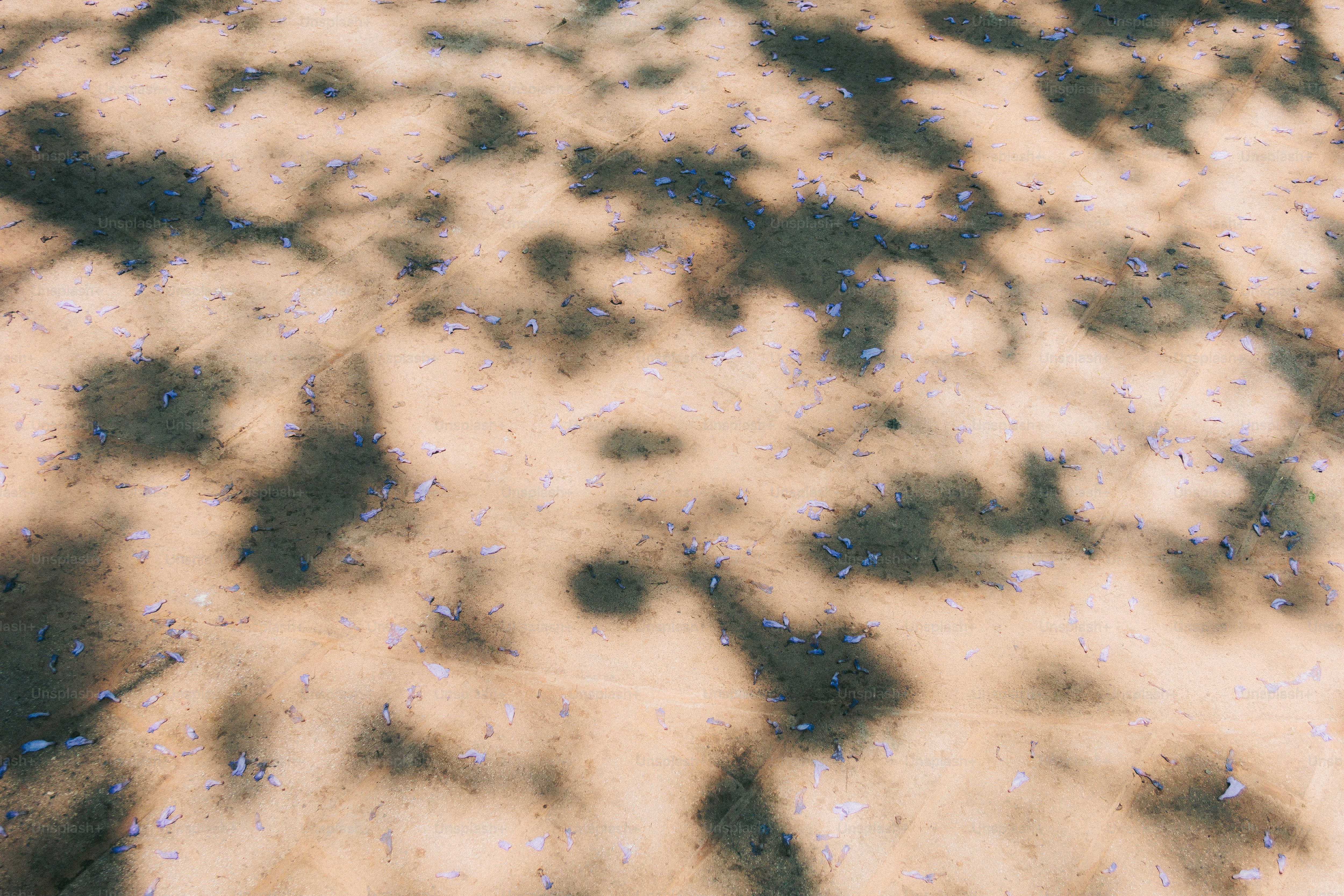 Motivo astratto di macchie beige e verde scuro.