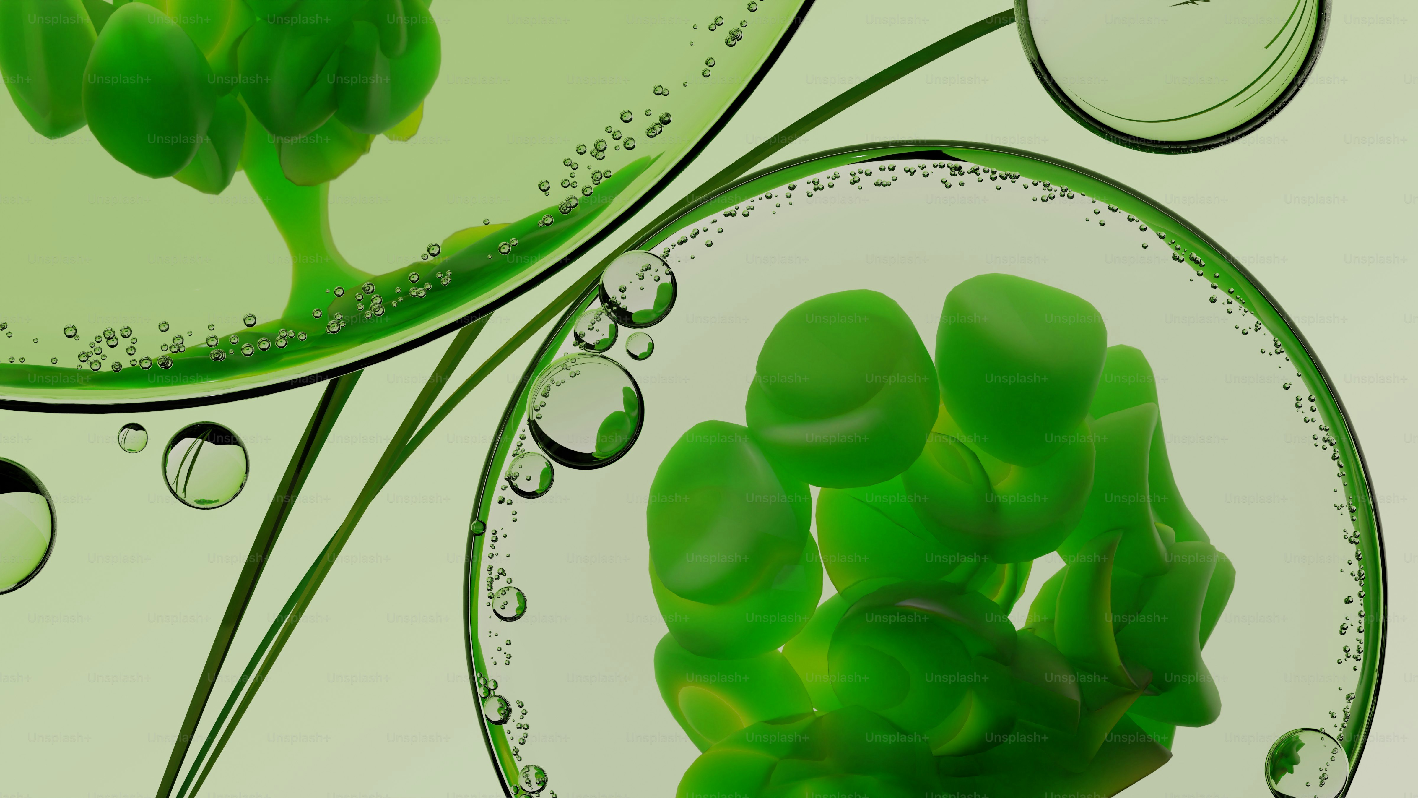 Formes organiques vertes à l’intérieur de bulles et de liquides