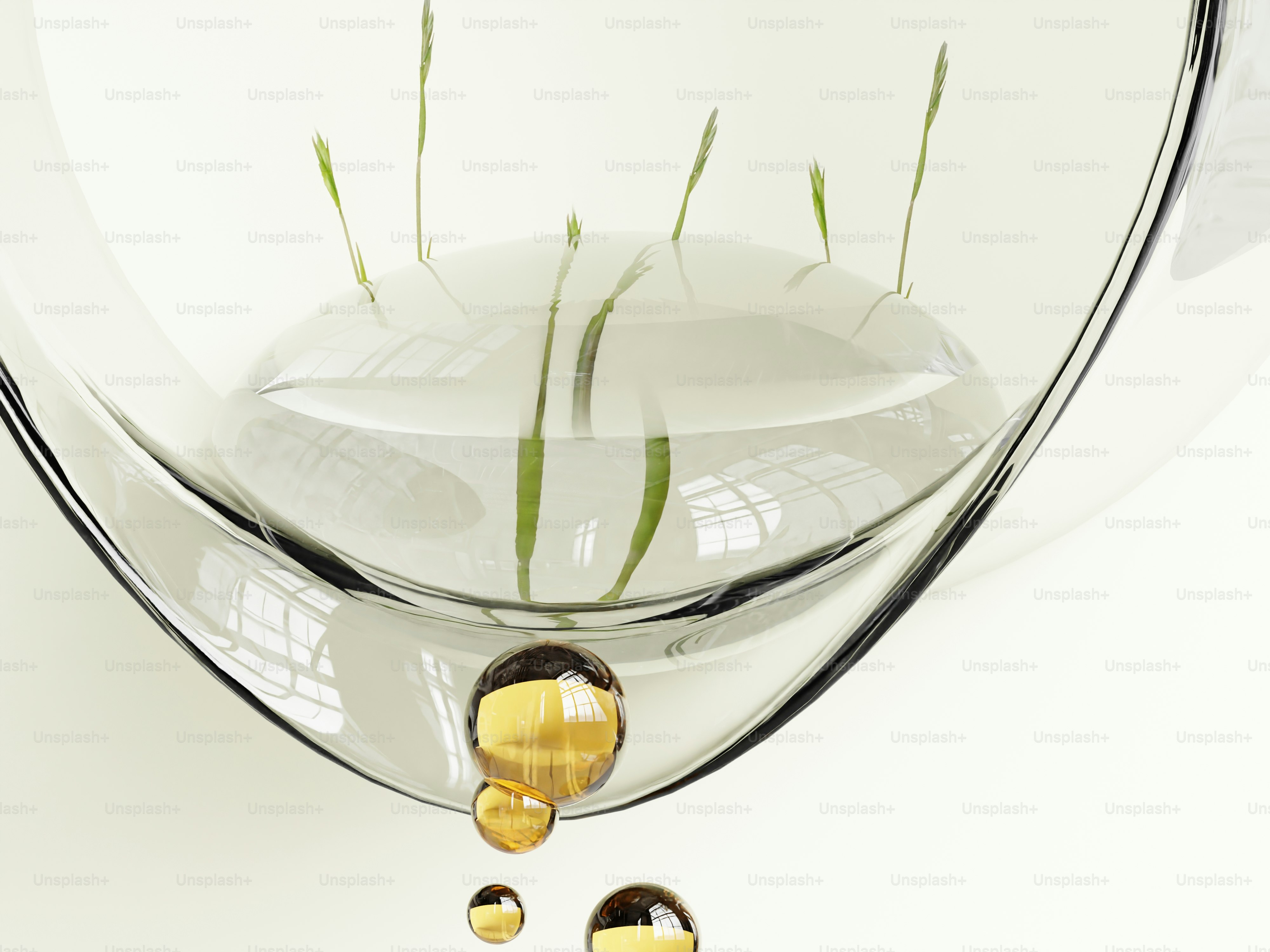 Brotes verdes creciendo en agua con gotas que caen.