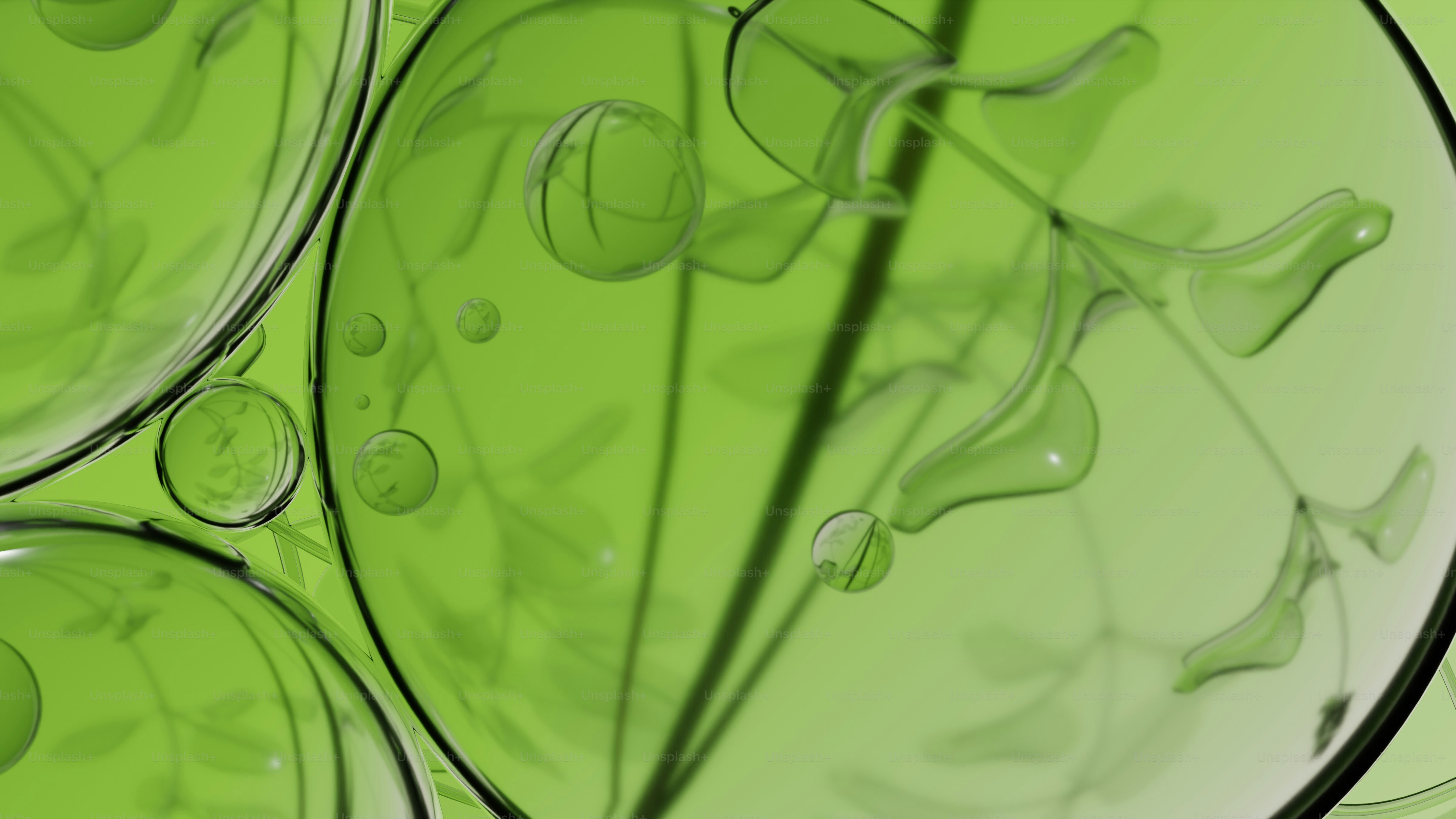 Fond vert abstrait avec des éléments végétaux et des bulles