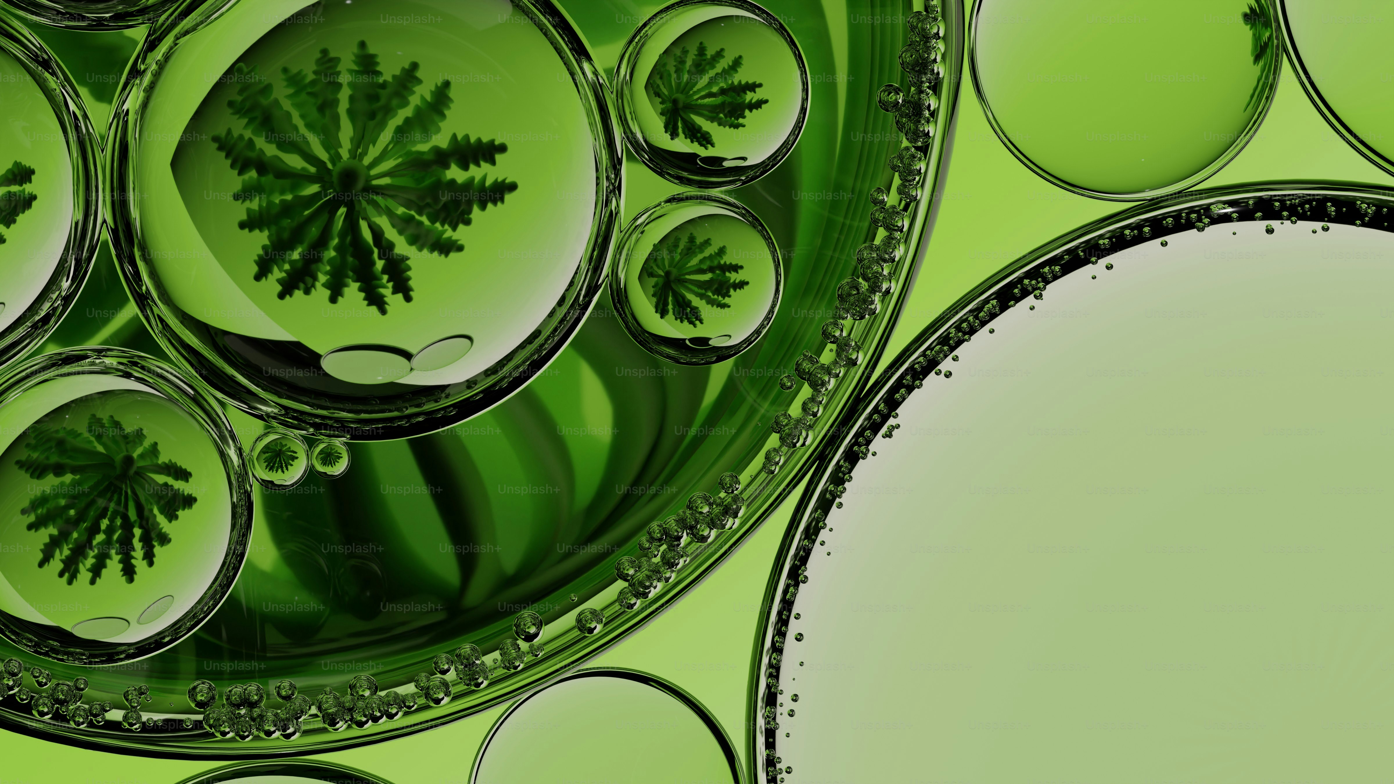 De l’huile verte et de l’eau bouillonnent avec des reflets de fougères.