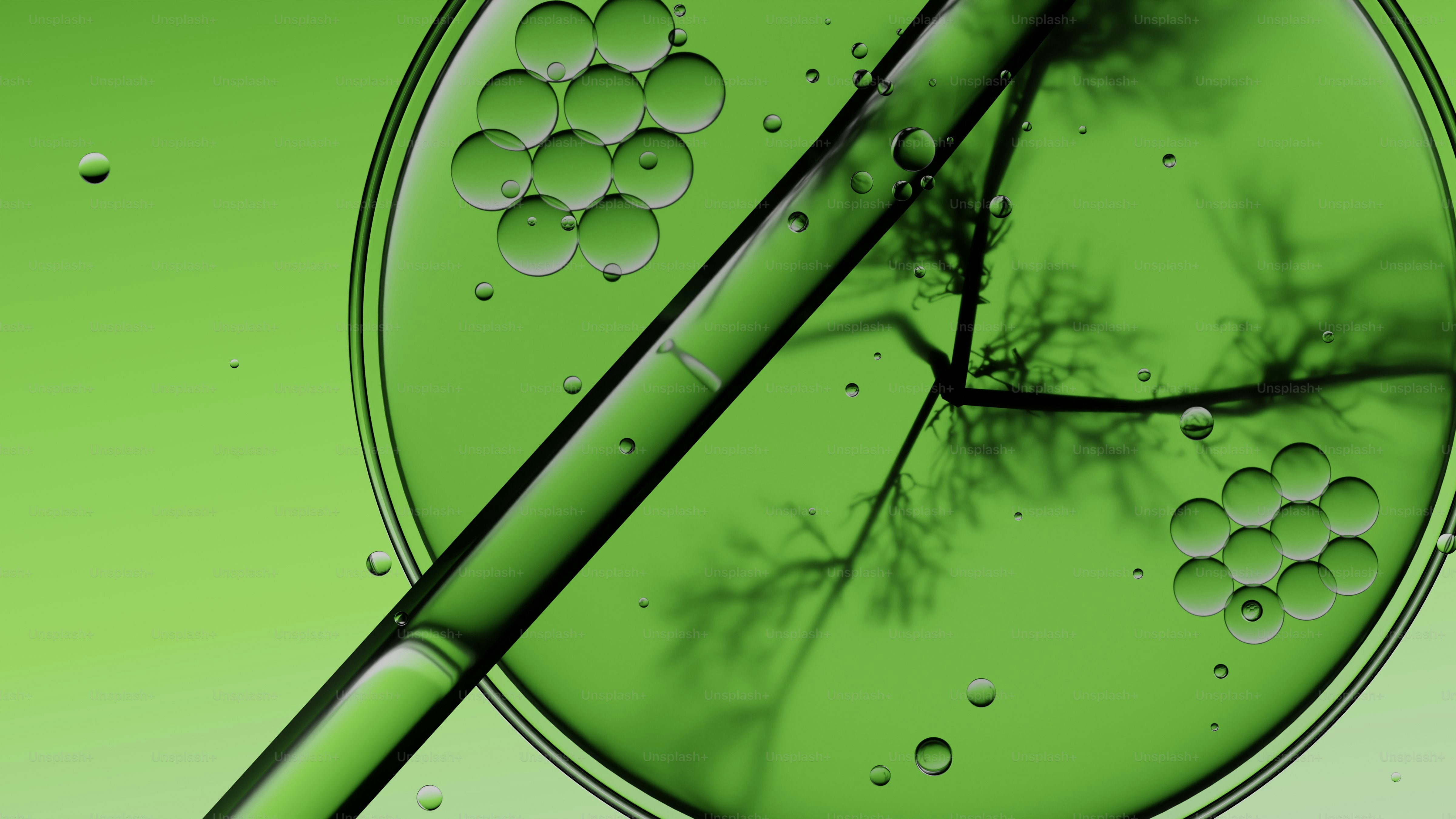 Grüne Flüssigkeit mit Blasen und Pflanzensilhouette