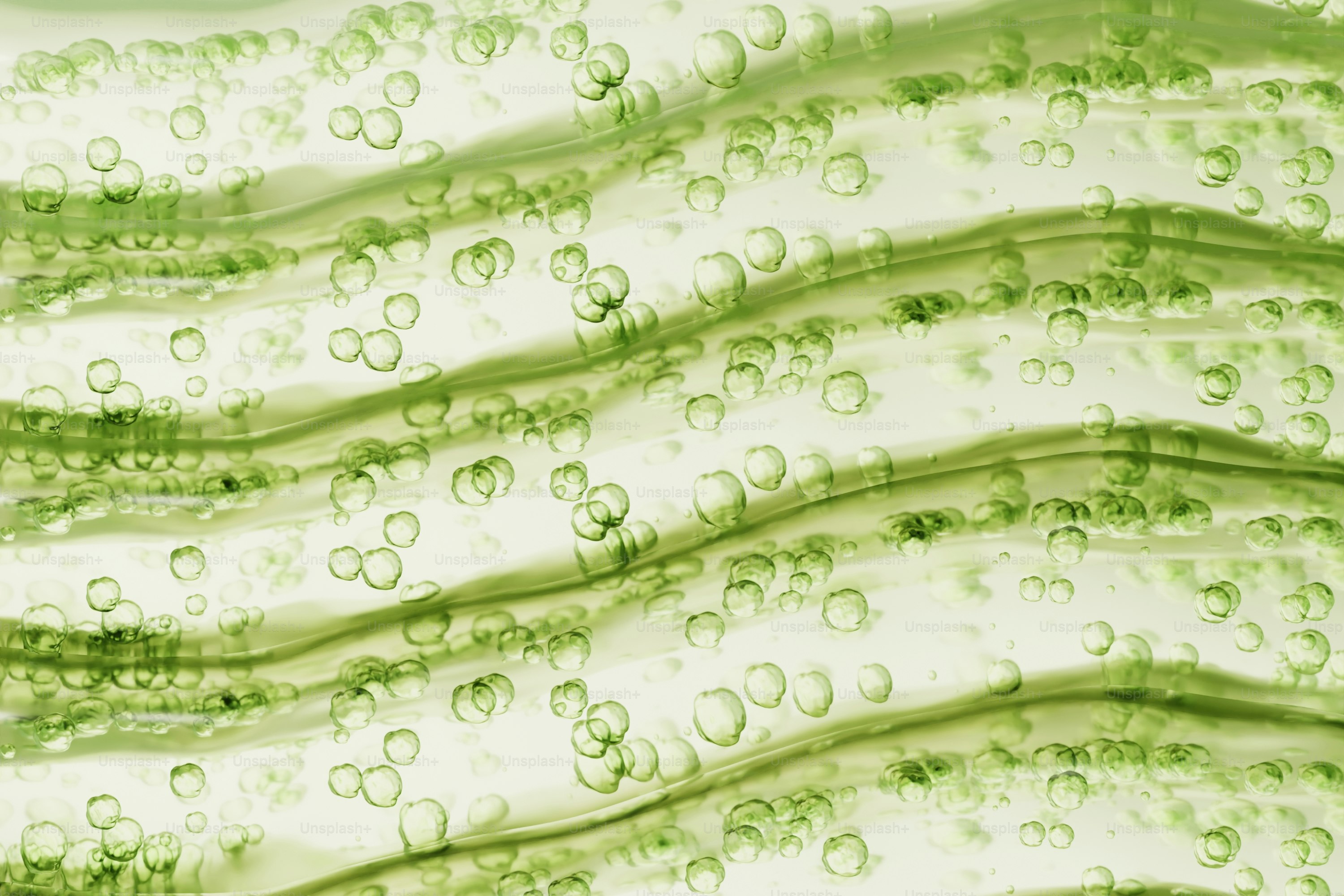 Vista microscópica de células vegetais com cloroplastos verdes