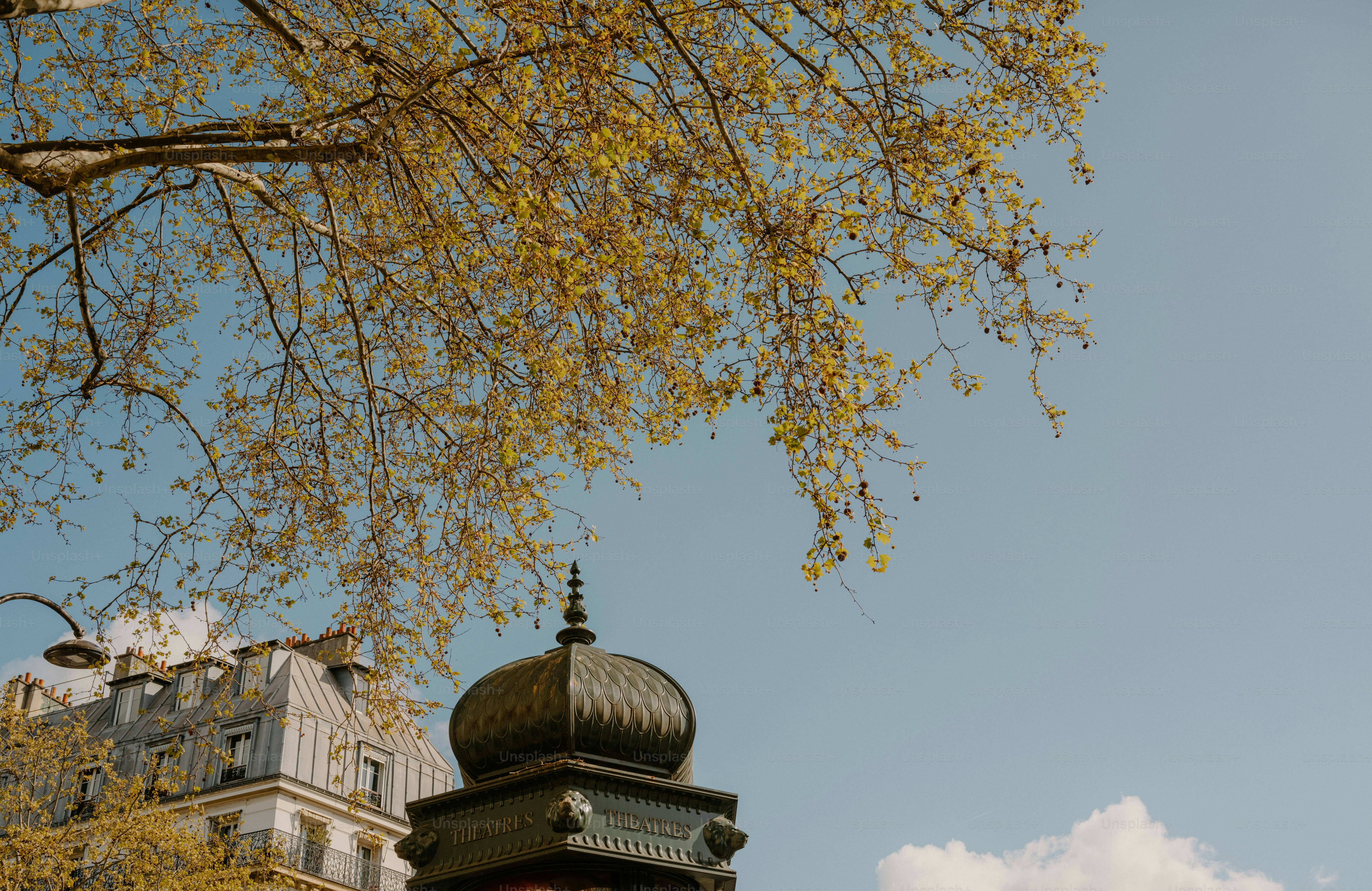 Ornate parisian metro entrance against a blue sky.