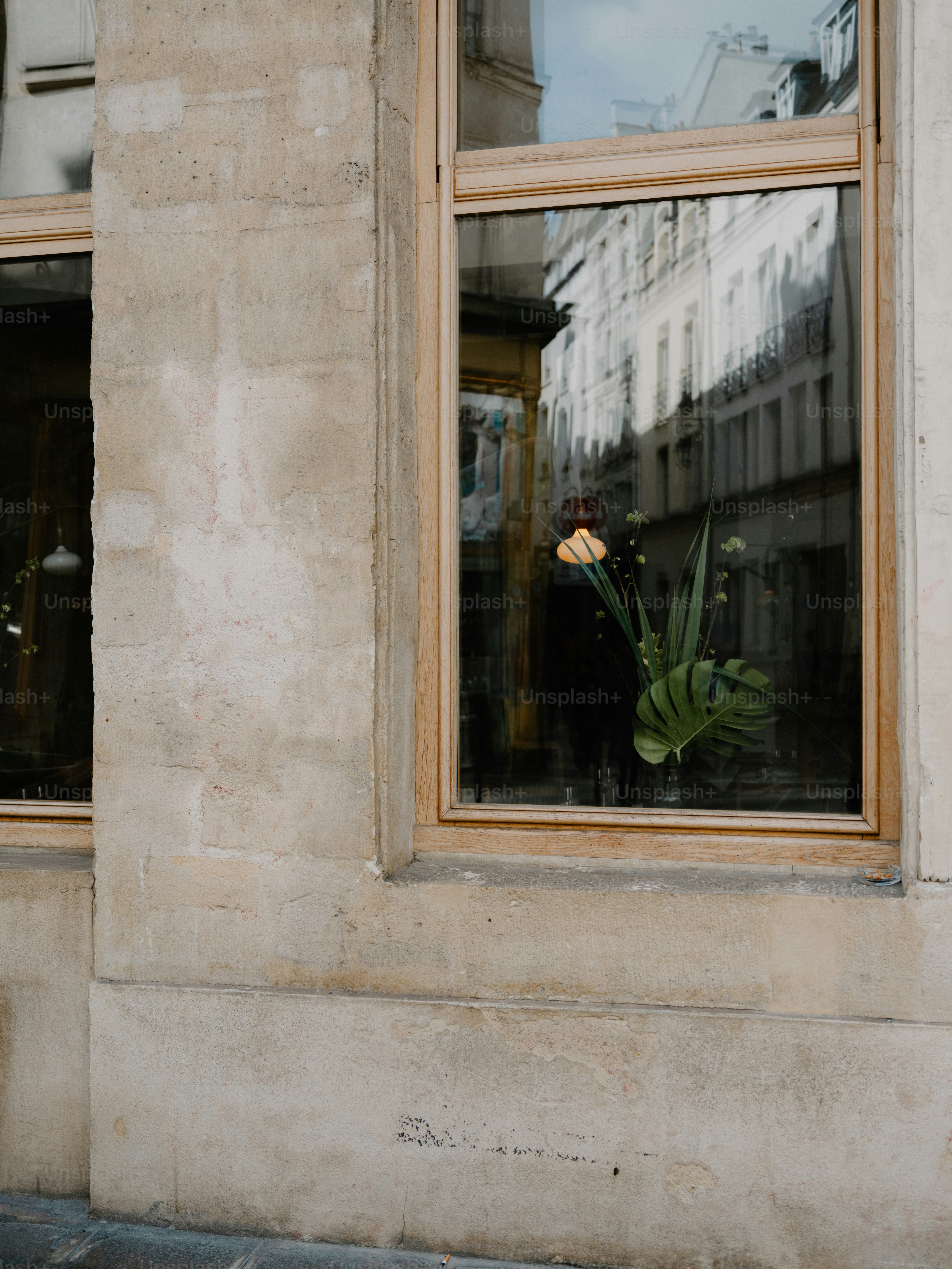 A floral arrangement in a window reflects buildings.