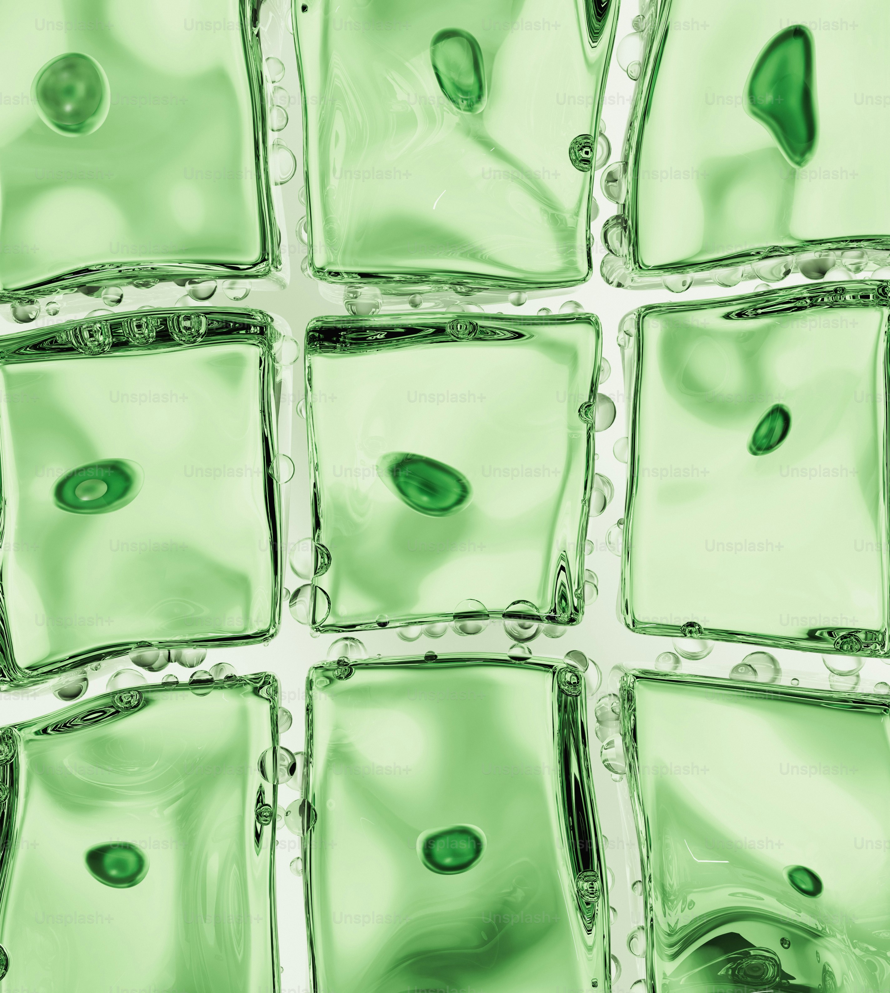 Cellule verdi con nuclei scuri in una griglia.