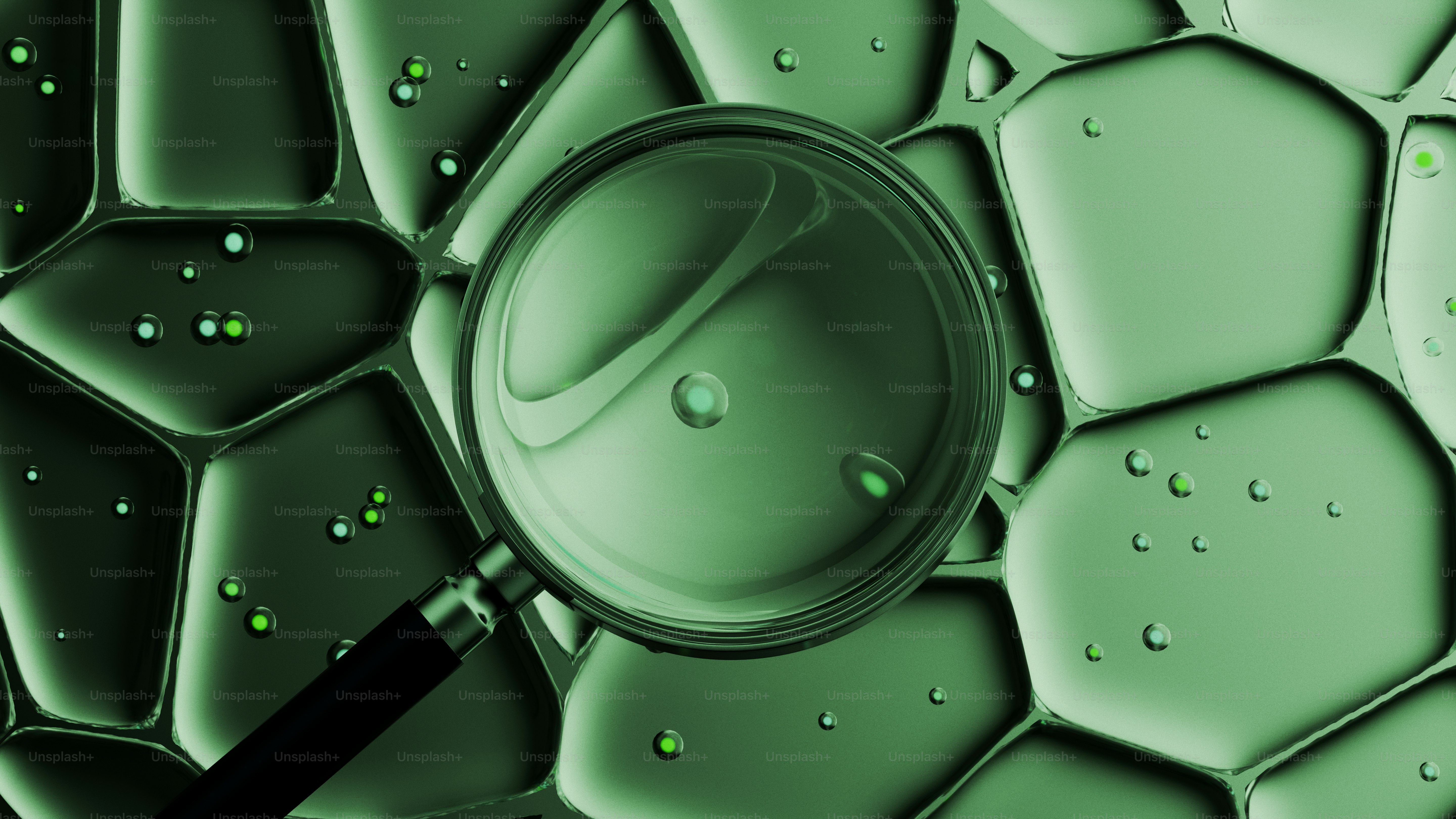 Lupe über grüner Zellstruktur mit Wassertropfen.