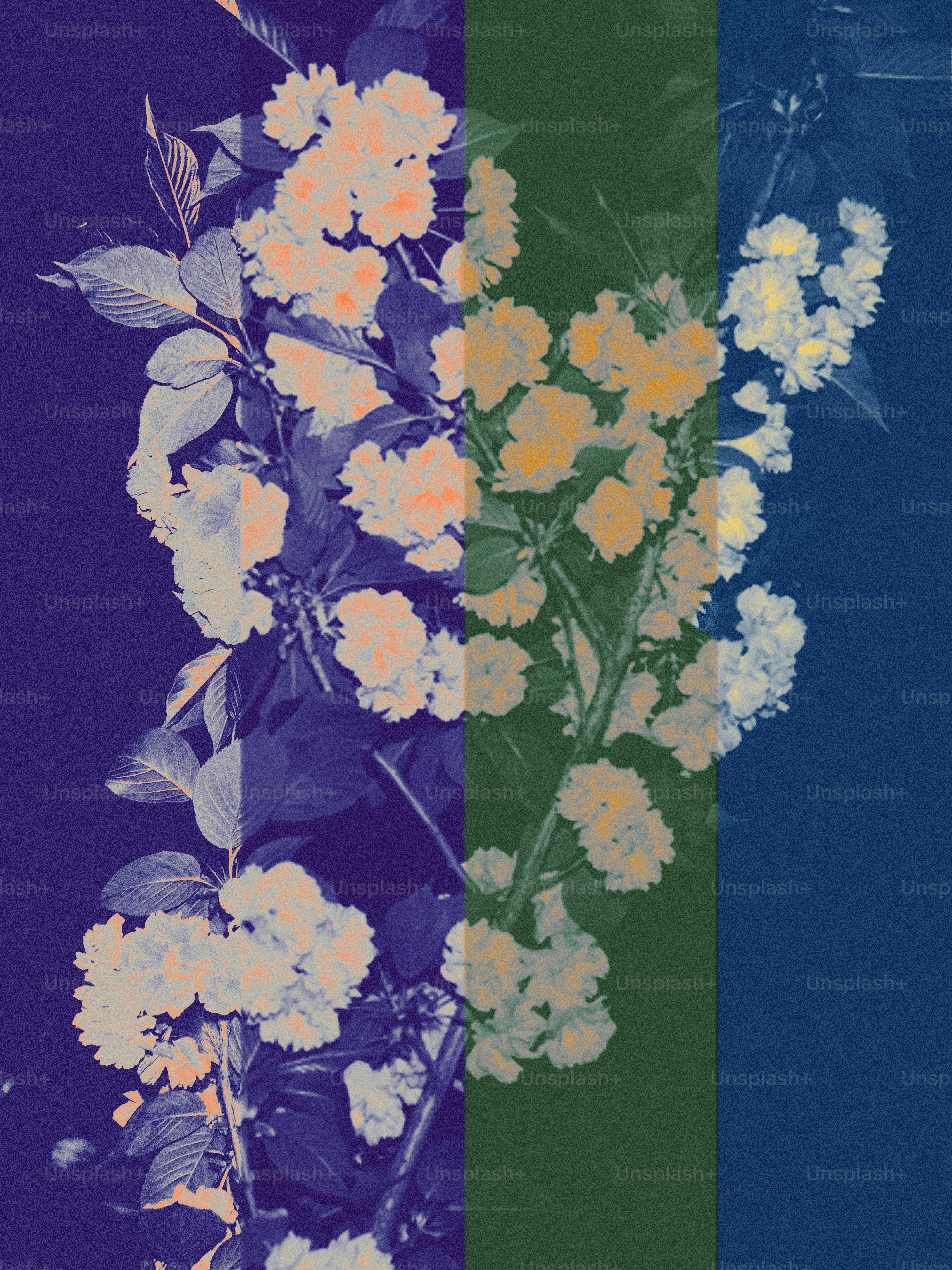 Galhos com flores brancas sobre fundo escuro