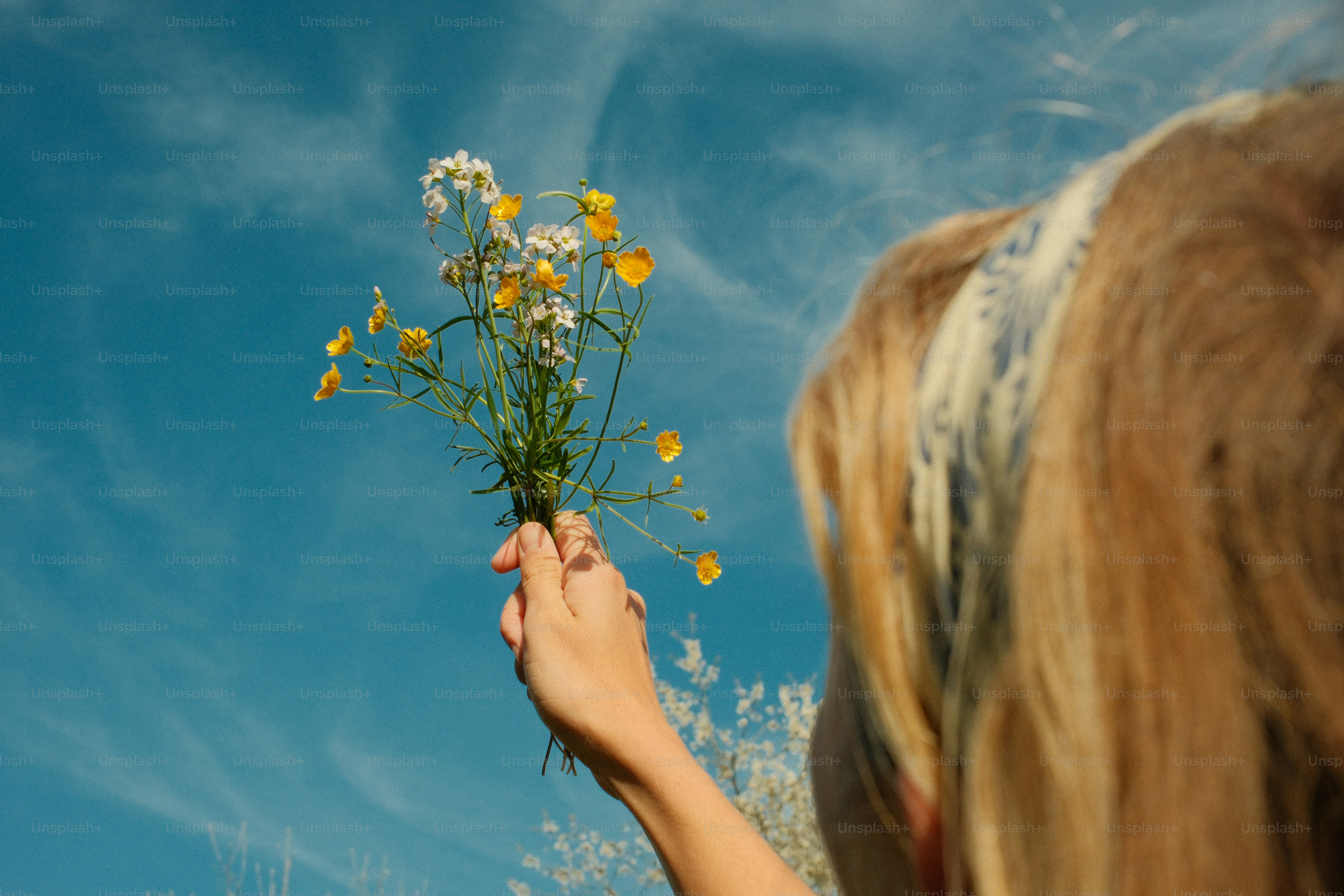 Mão segurando flores silvestres contra um céu azul