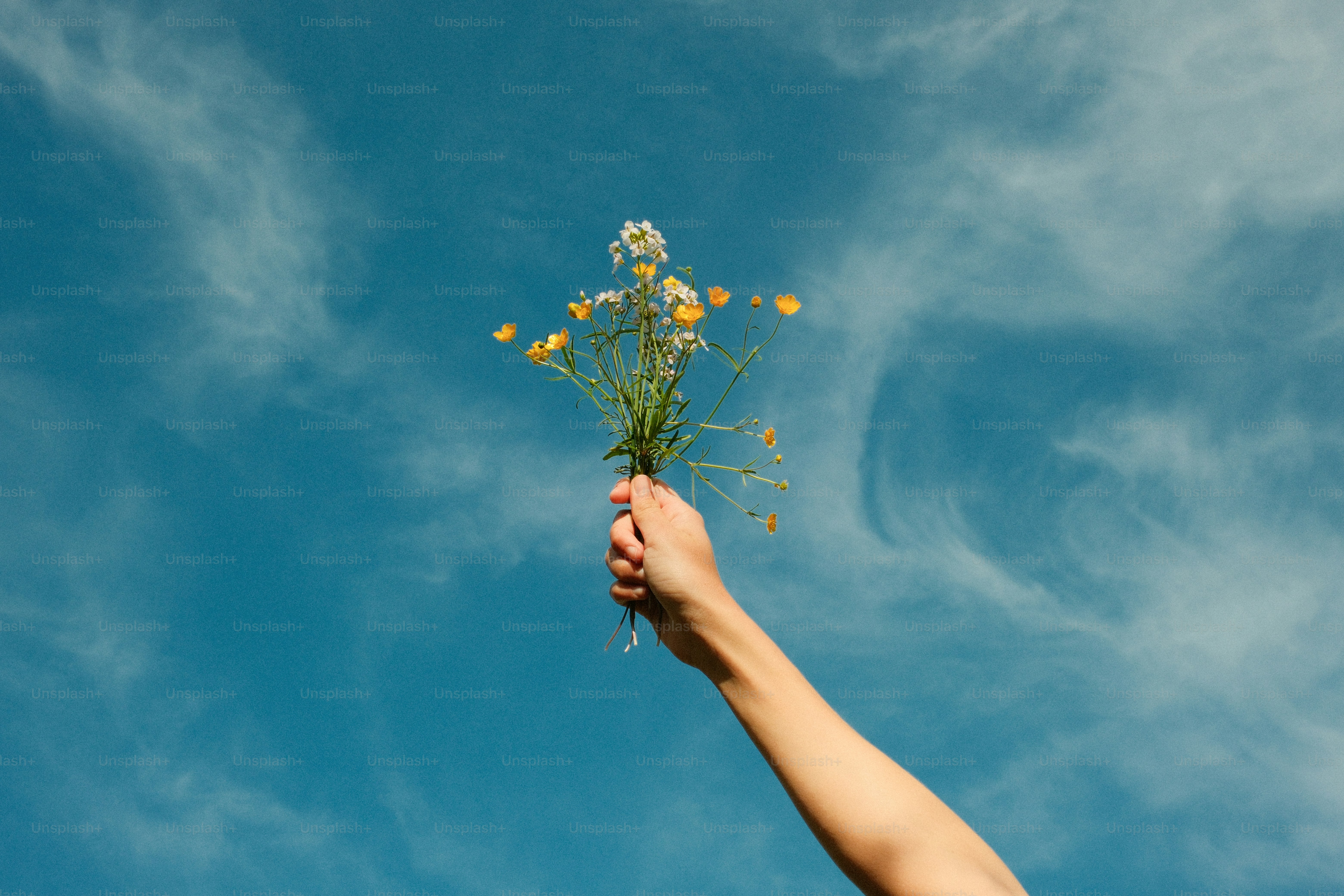 Mão segurando um buquê de flores silvestres contra um céu azul.