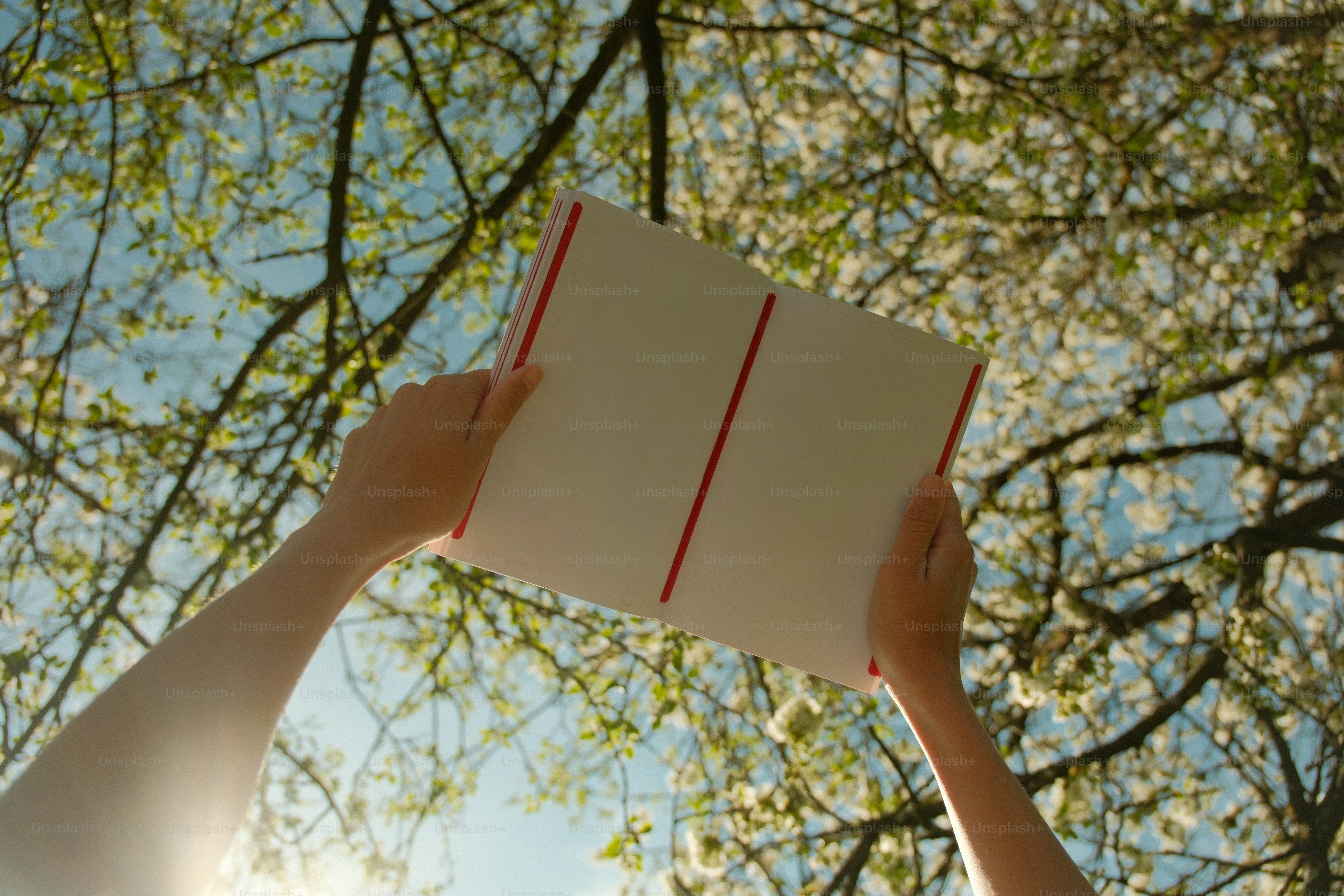 Mãos segurando um livro em branco contra um céu azul.
