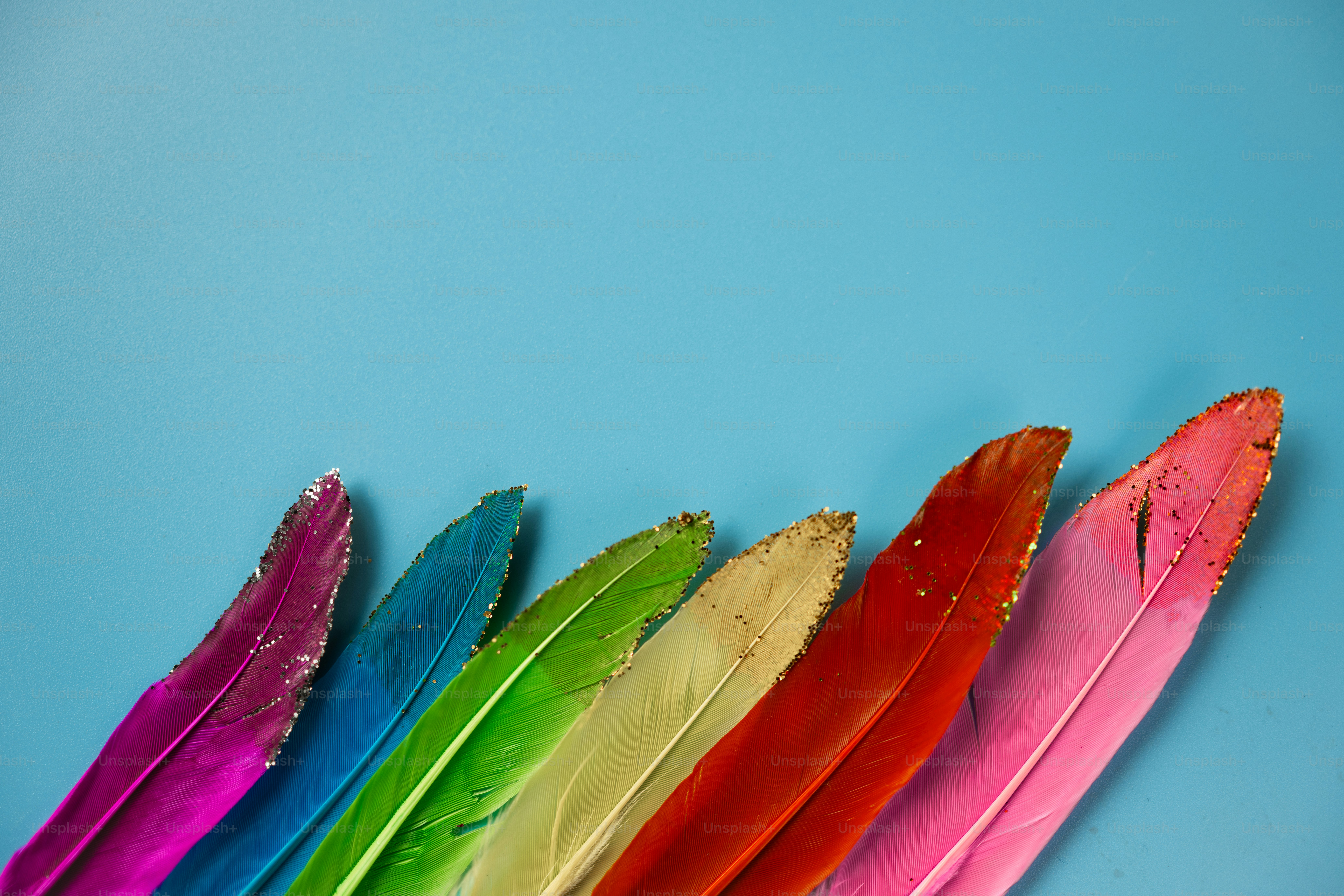 Des plumes colorées disposées en arc-en-ciel sur un fond bleu