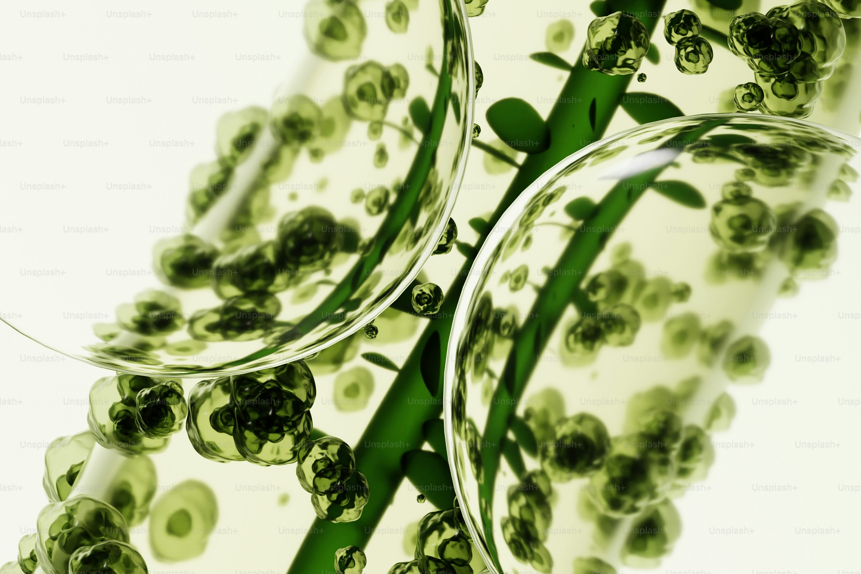 Visão microscópica das células e tronco das plantas